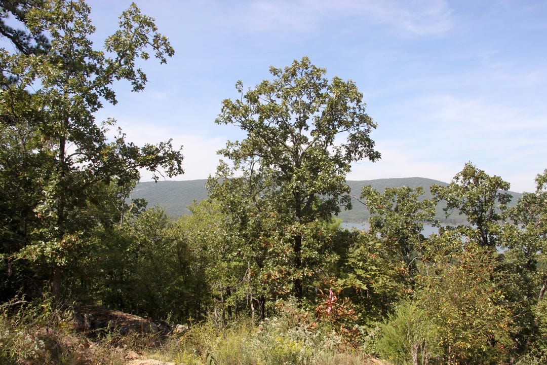 Lakeview Private Reserve Tract 10 photo 16