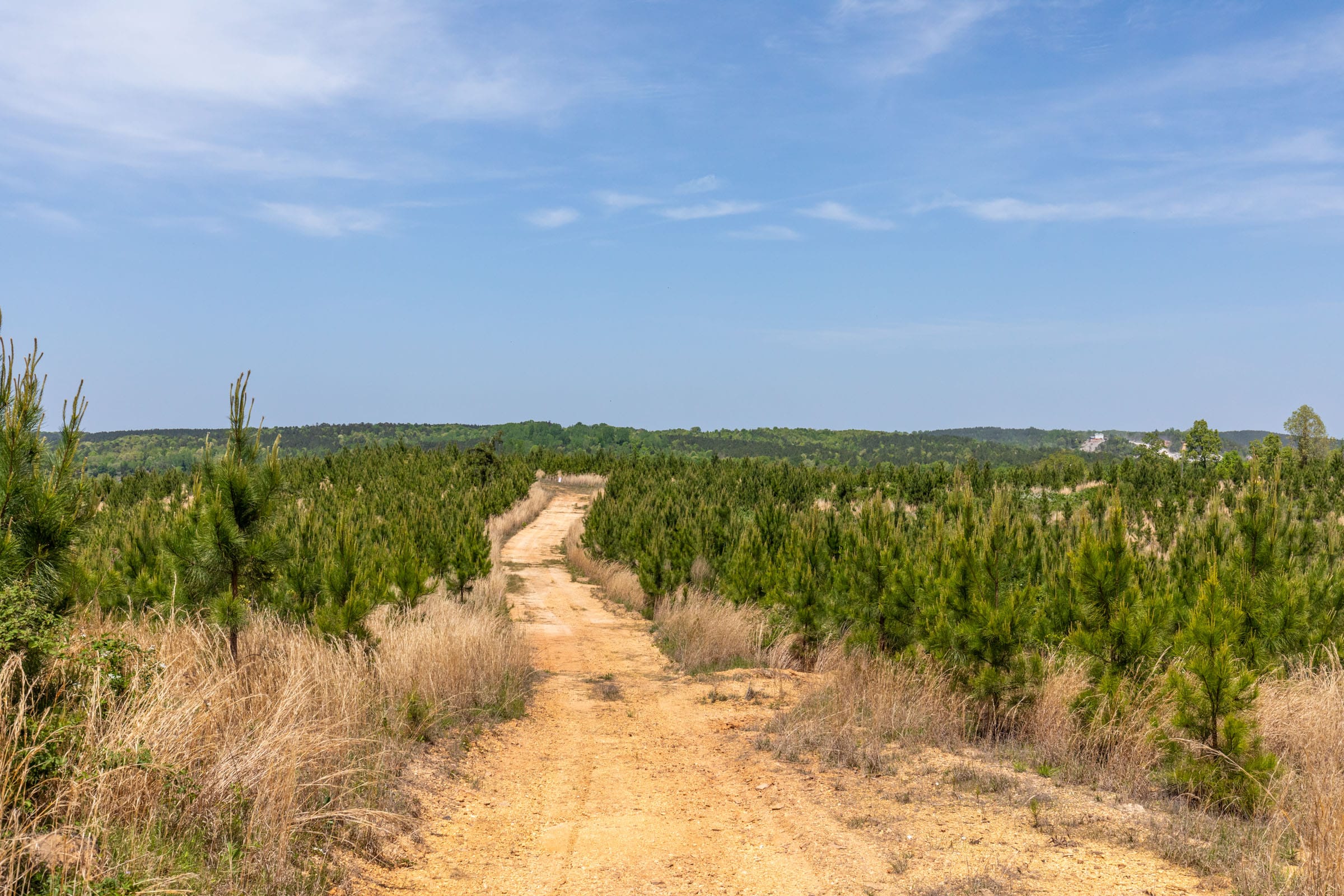 Clear Wood Tract 28 photo 1
