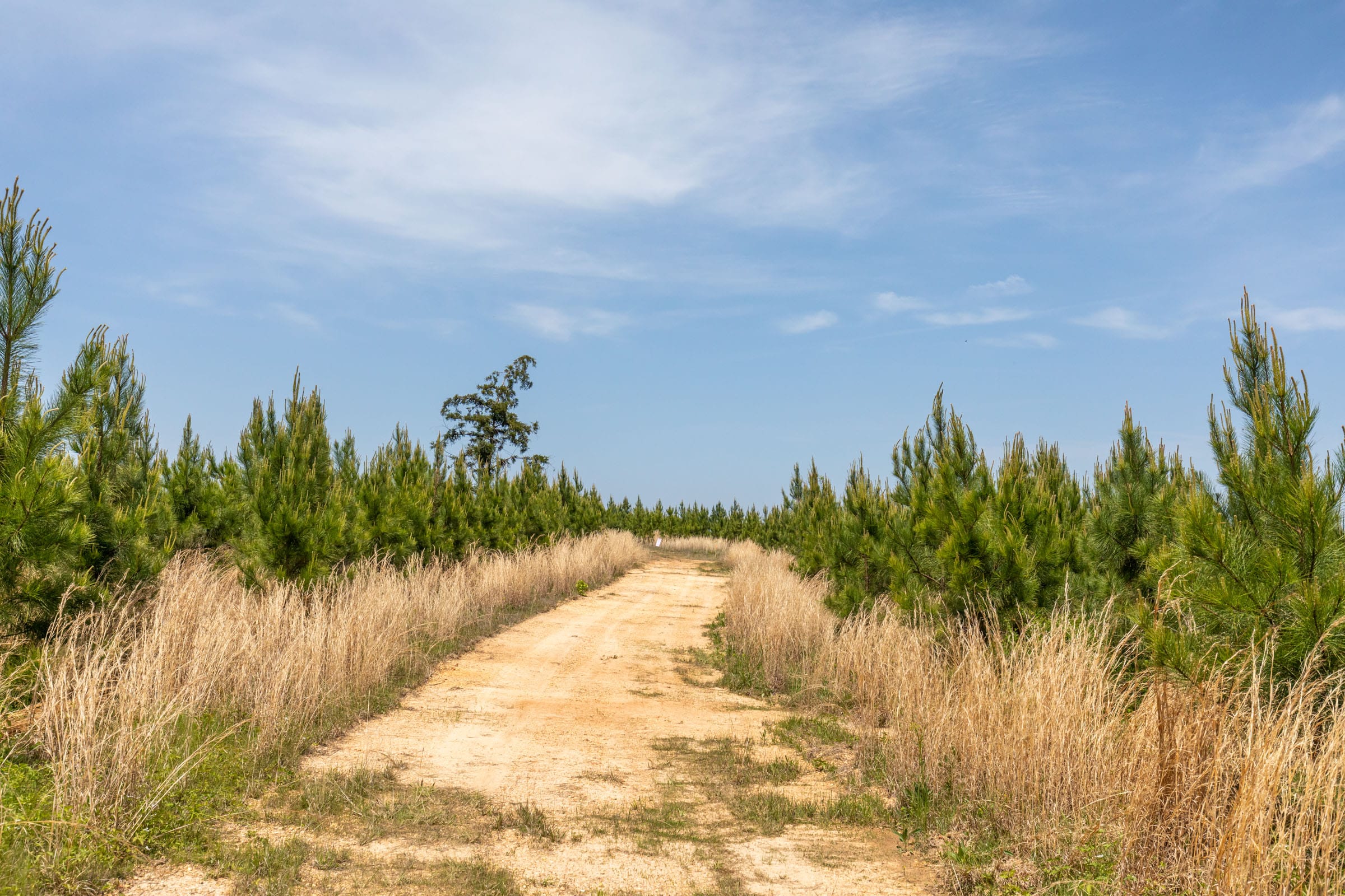 Clear Wood Tract 28 photo 8