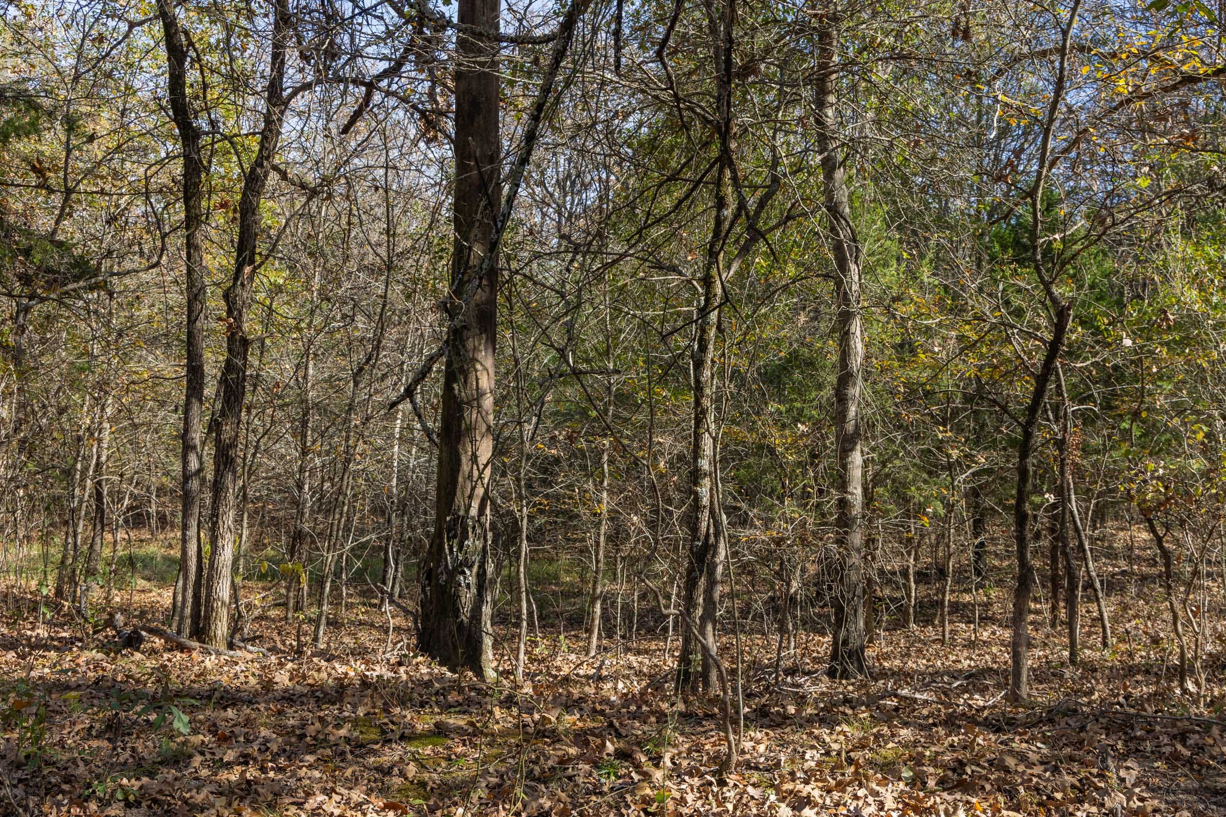 Harmony Hills Tract 39 photo 6