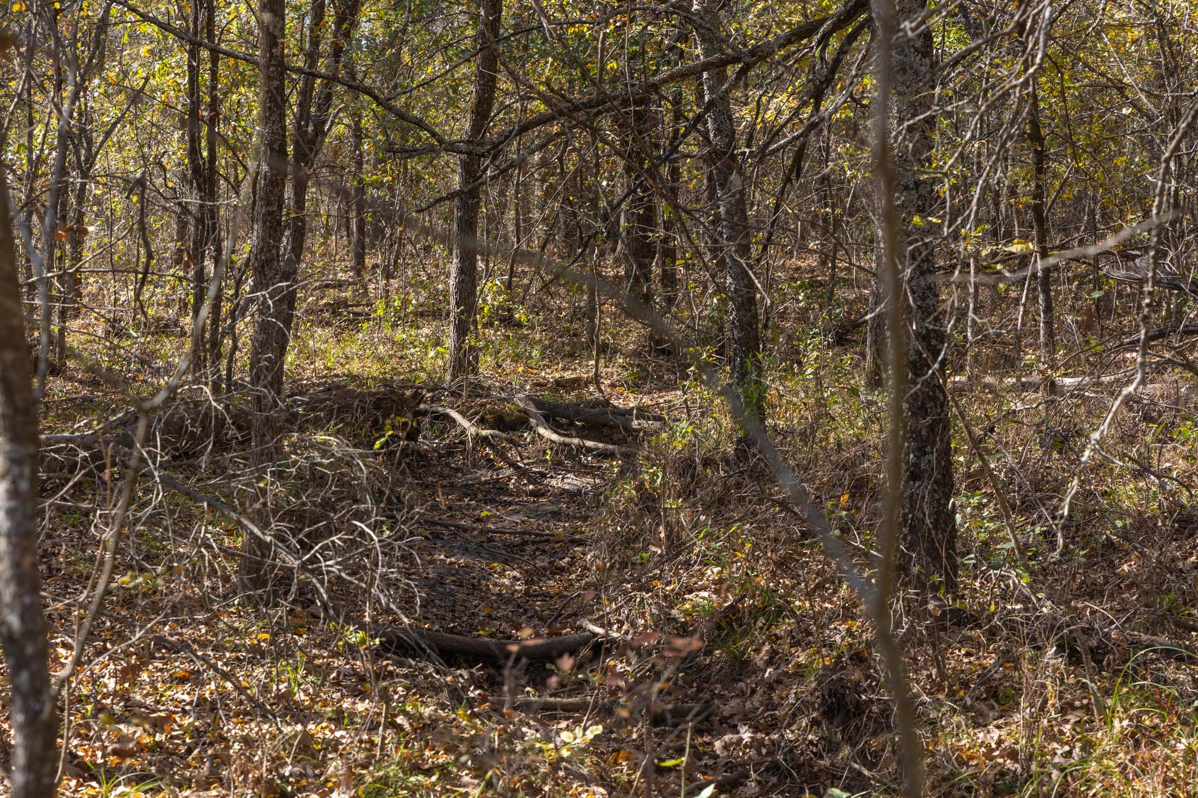 Harmony Hills Tract 39 photo 3