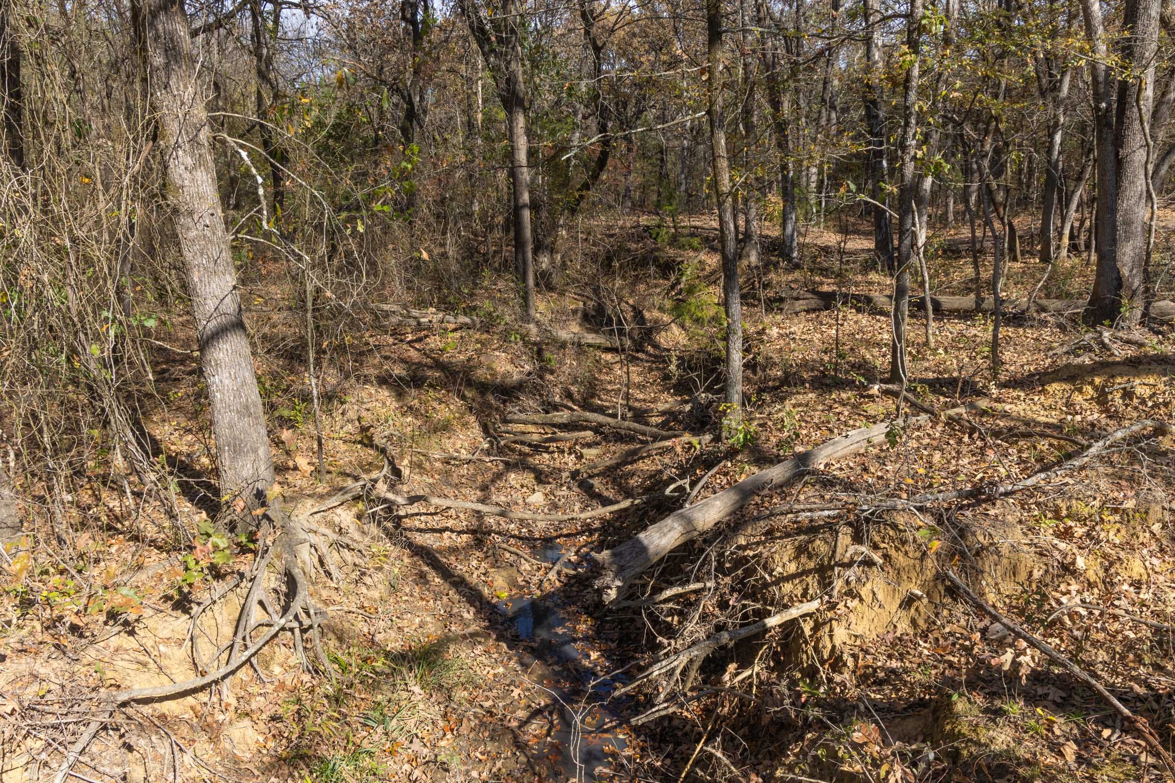 Harmony Hills Tract 39 photo 5