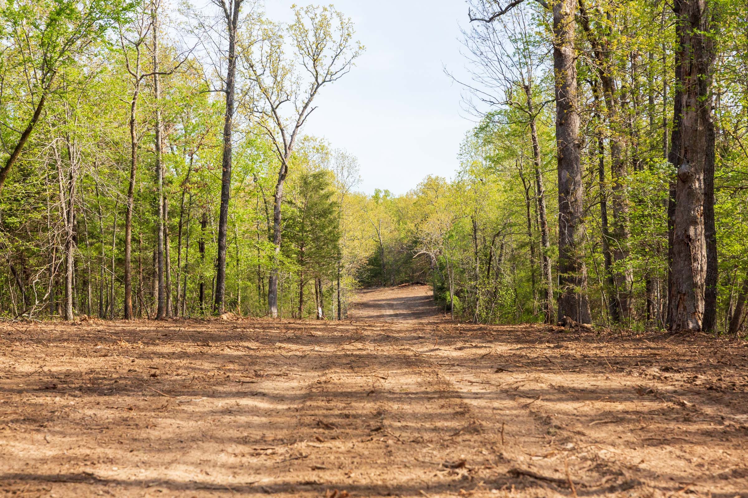 Autumnwood Tract 15 photo 13