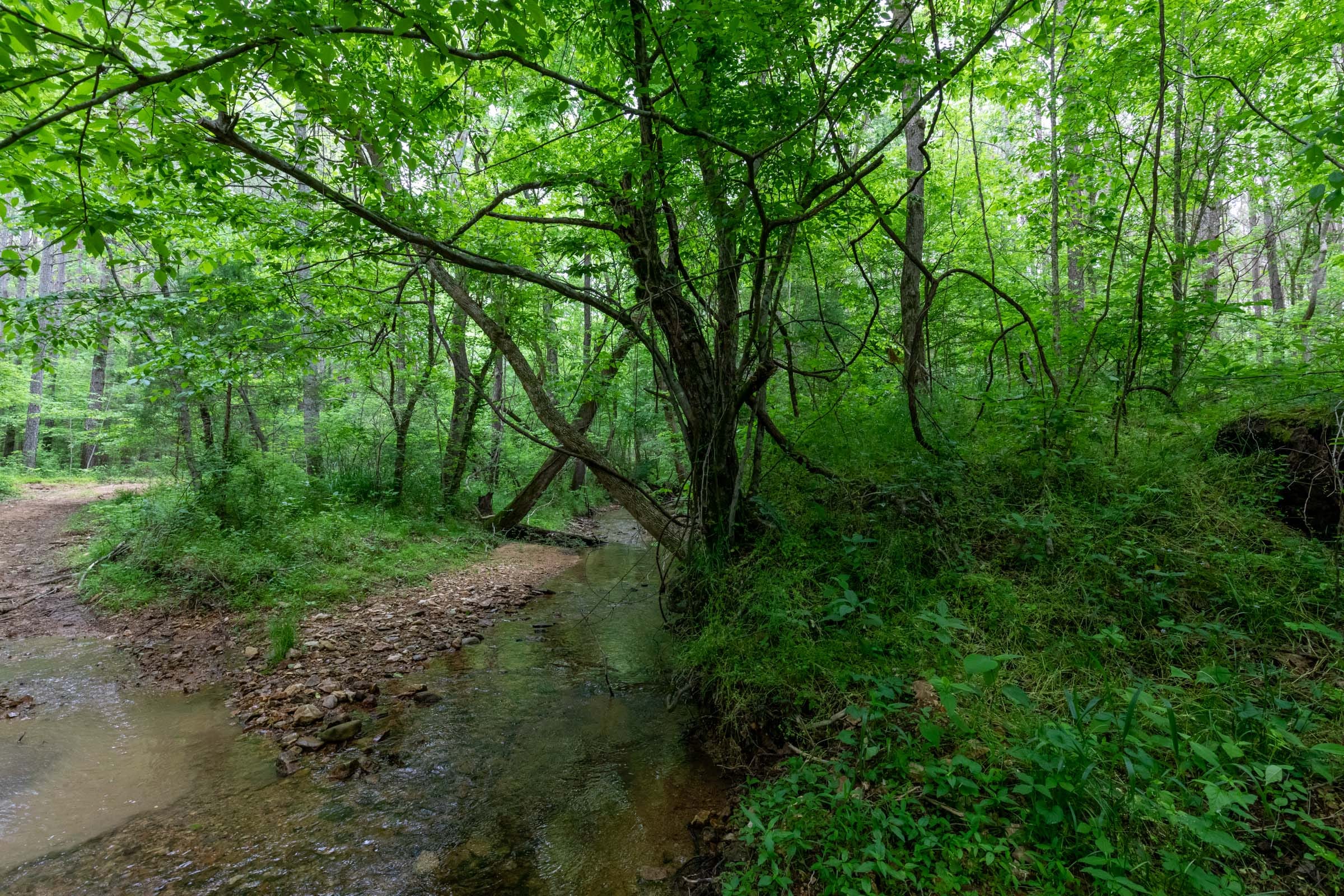 Cedar Creek Tract 33 photo 2
