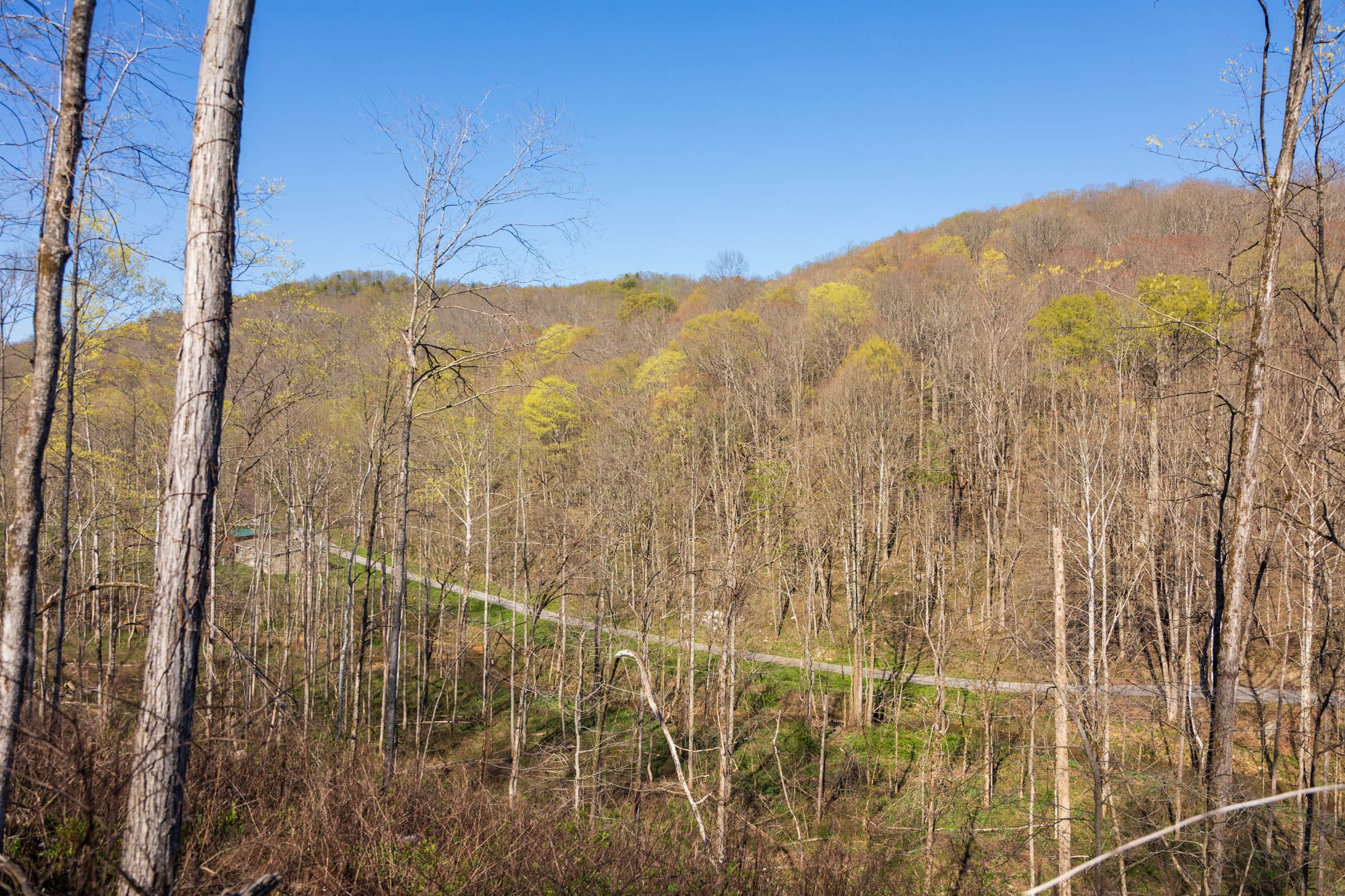 Creek Hollow Phase I Tract 36 photo 7