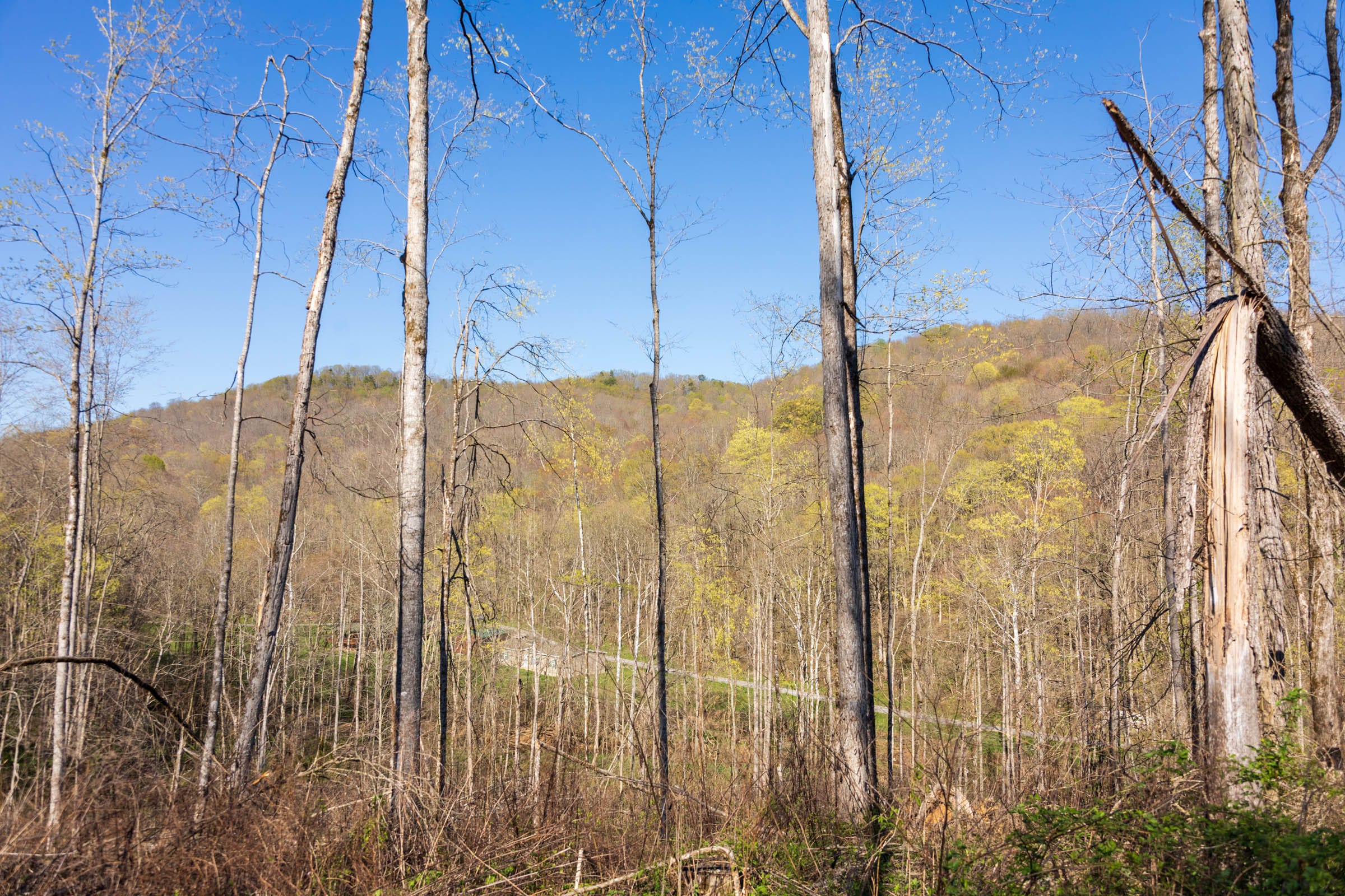 Creek Hollow Phase I Tract 36 photo 8
