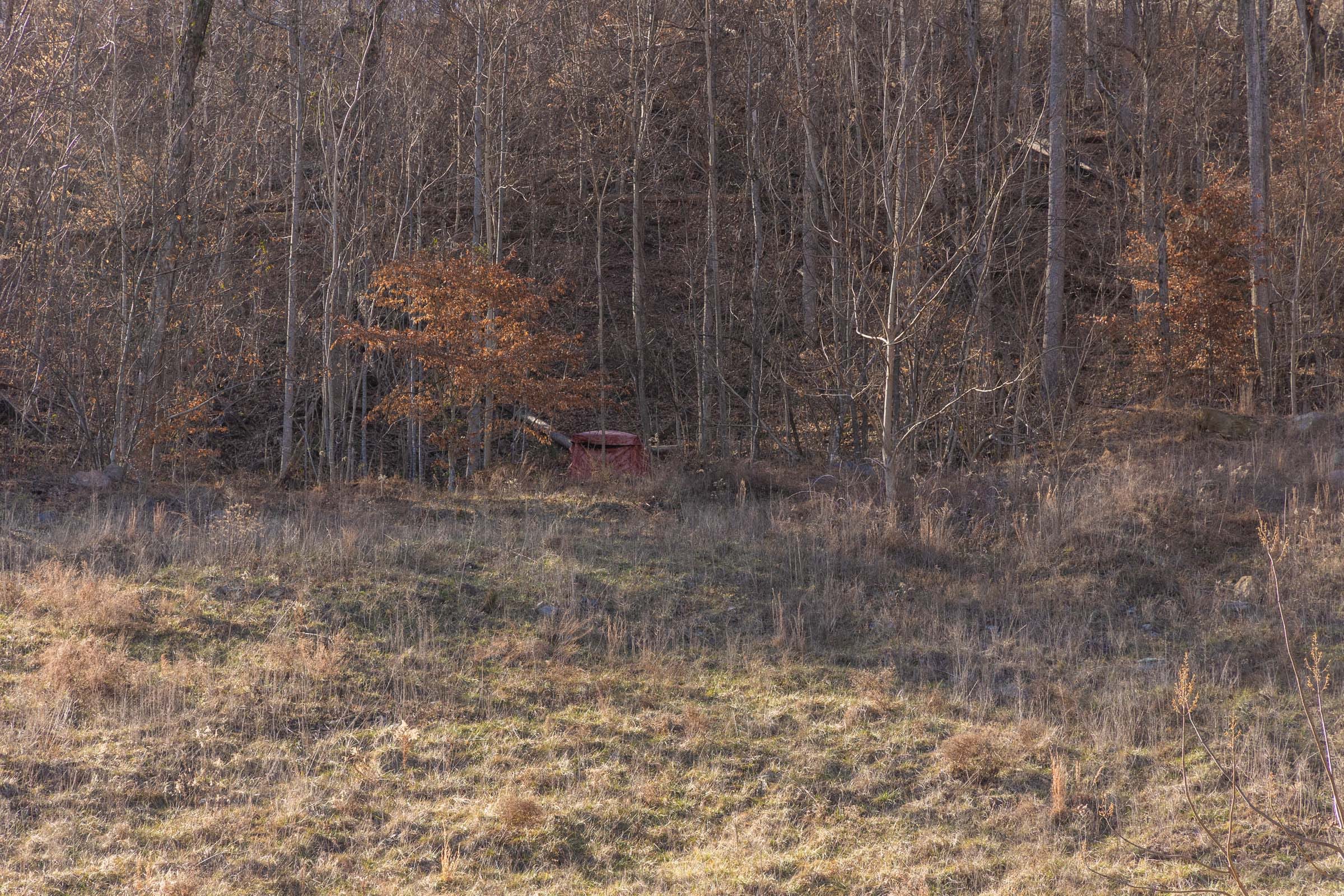 Jade Pass Tract 8 photo 11