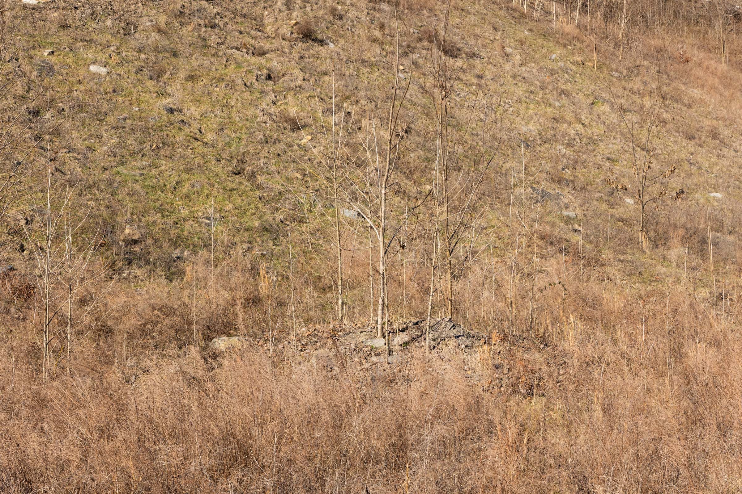 Jade Pass Tract 8 photo 7