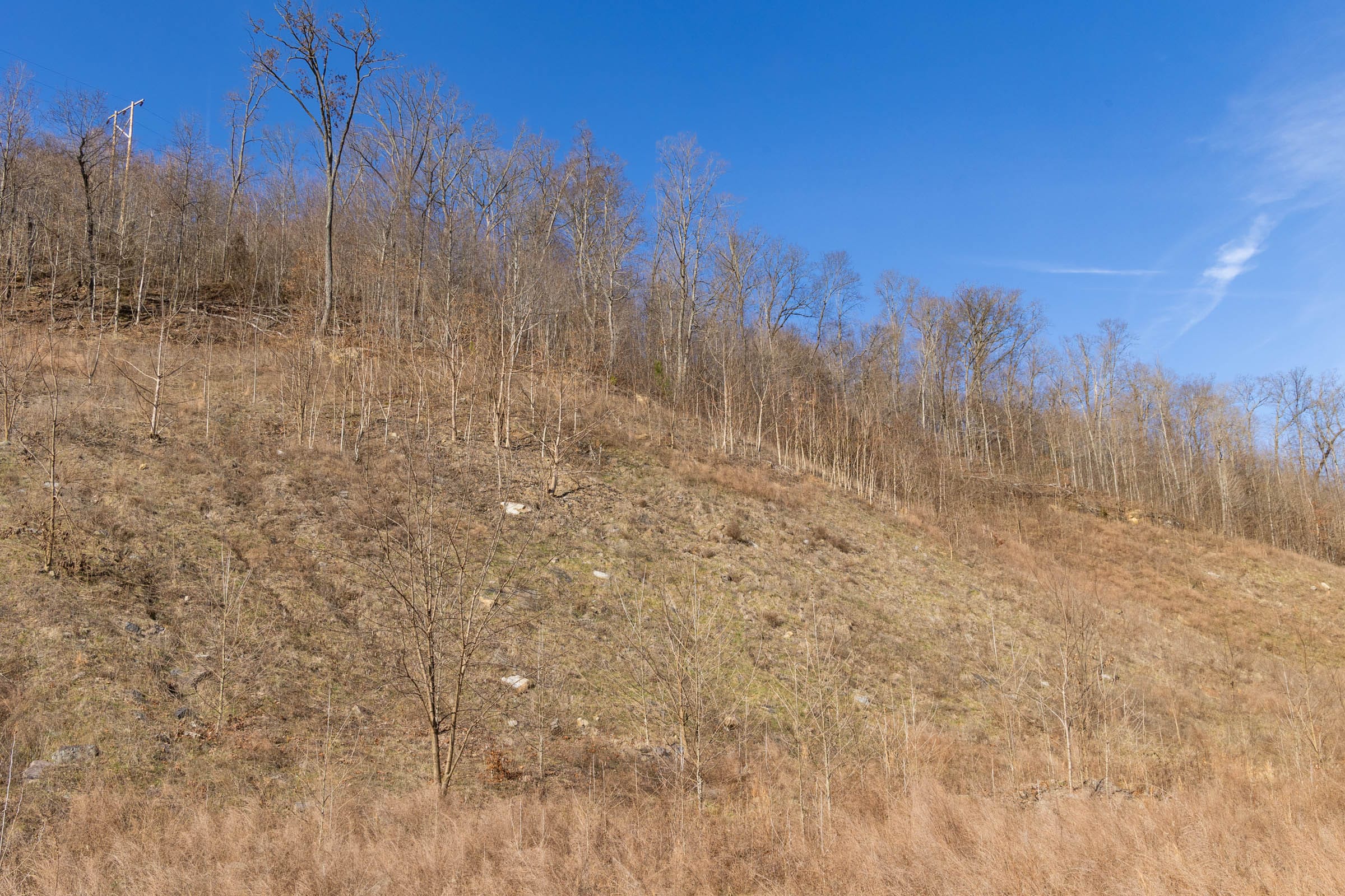 Jade Pass Tract 8 photo 6