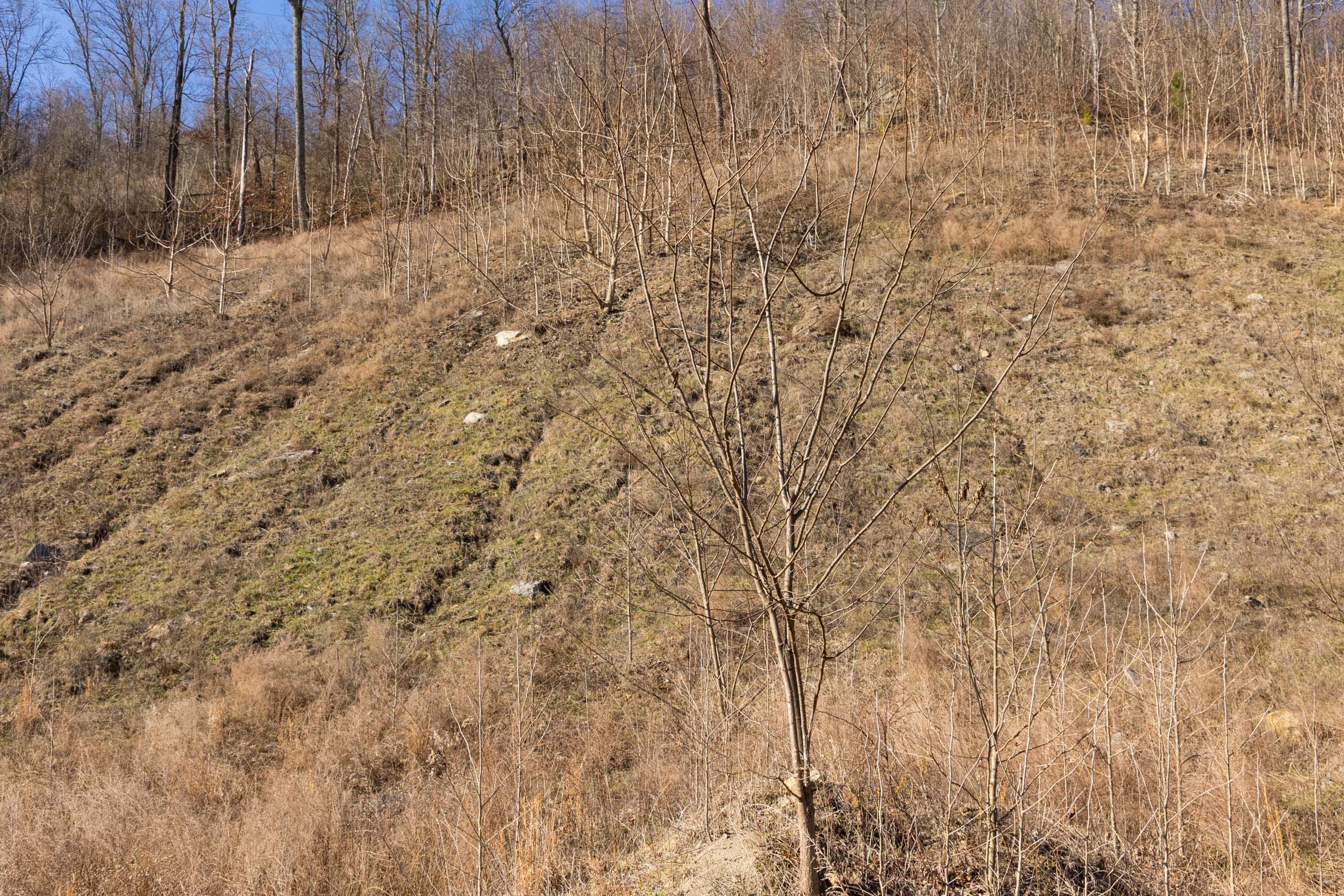 Jade Pass Tract 8 photo 5