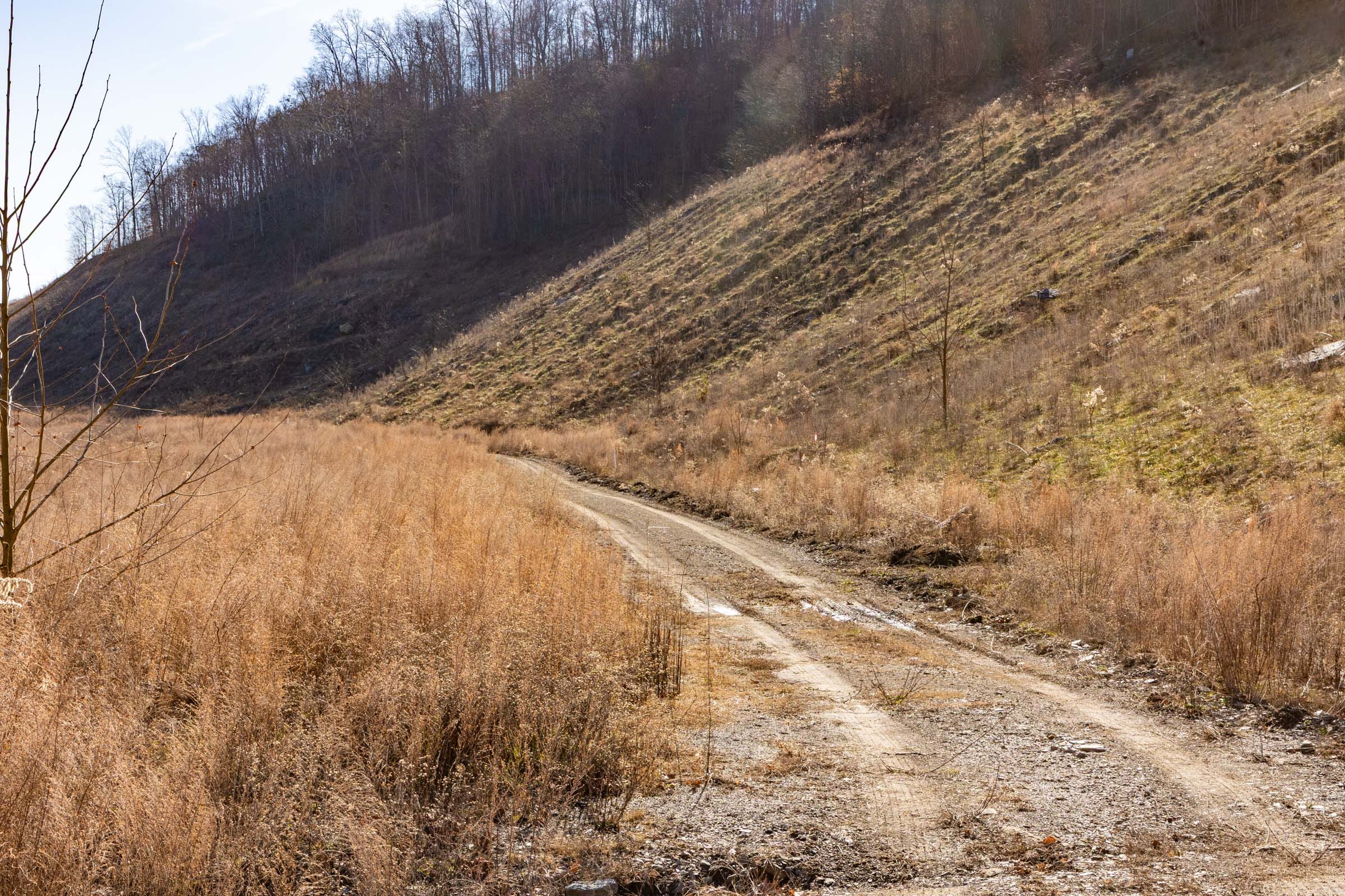 Jade Pass Tract 8 photo 8