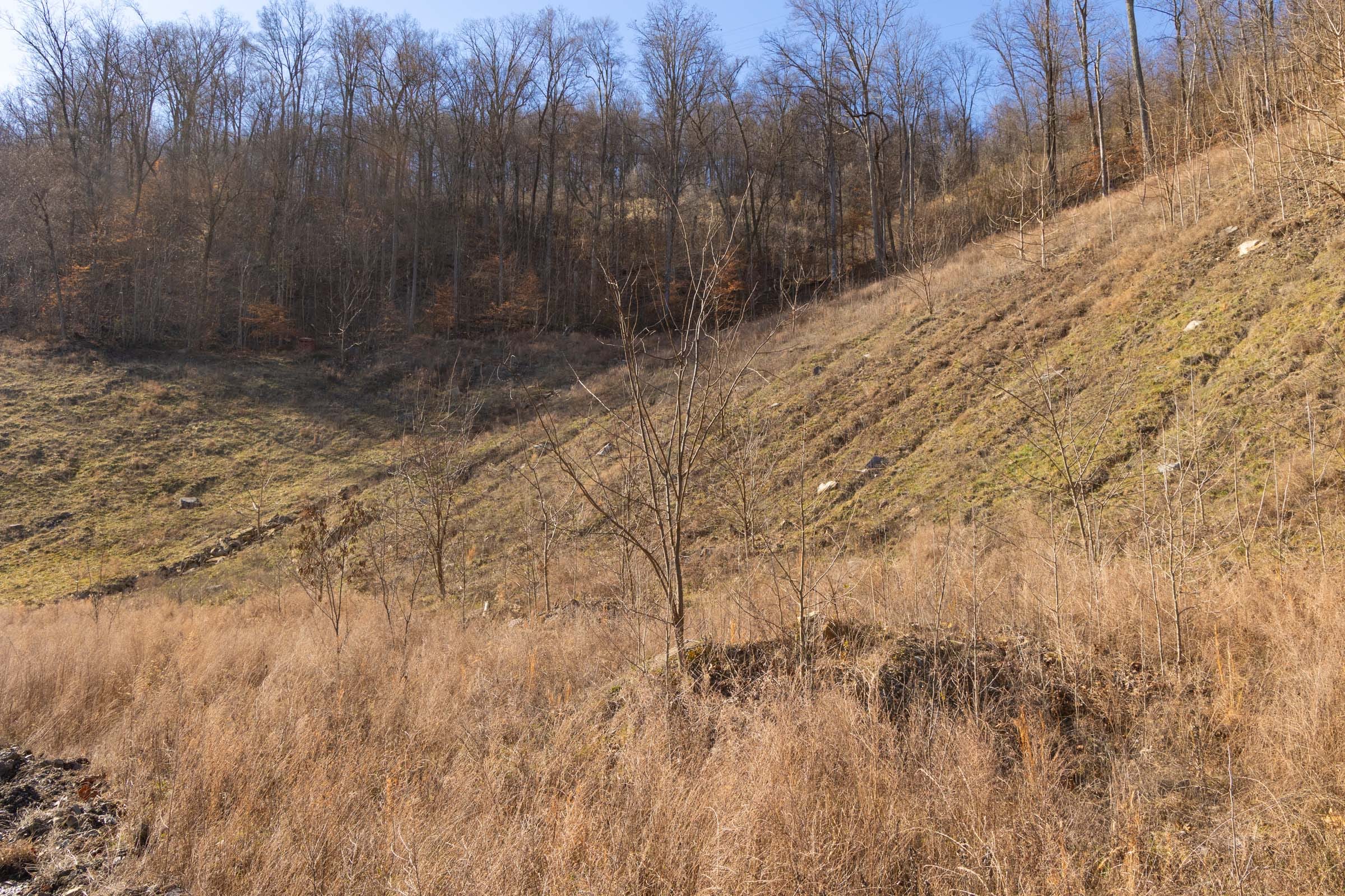 Jade Pass Tract 8 photo 4