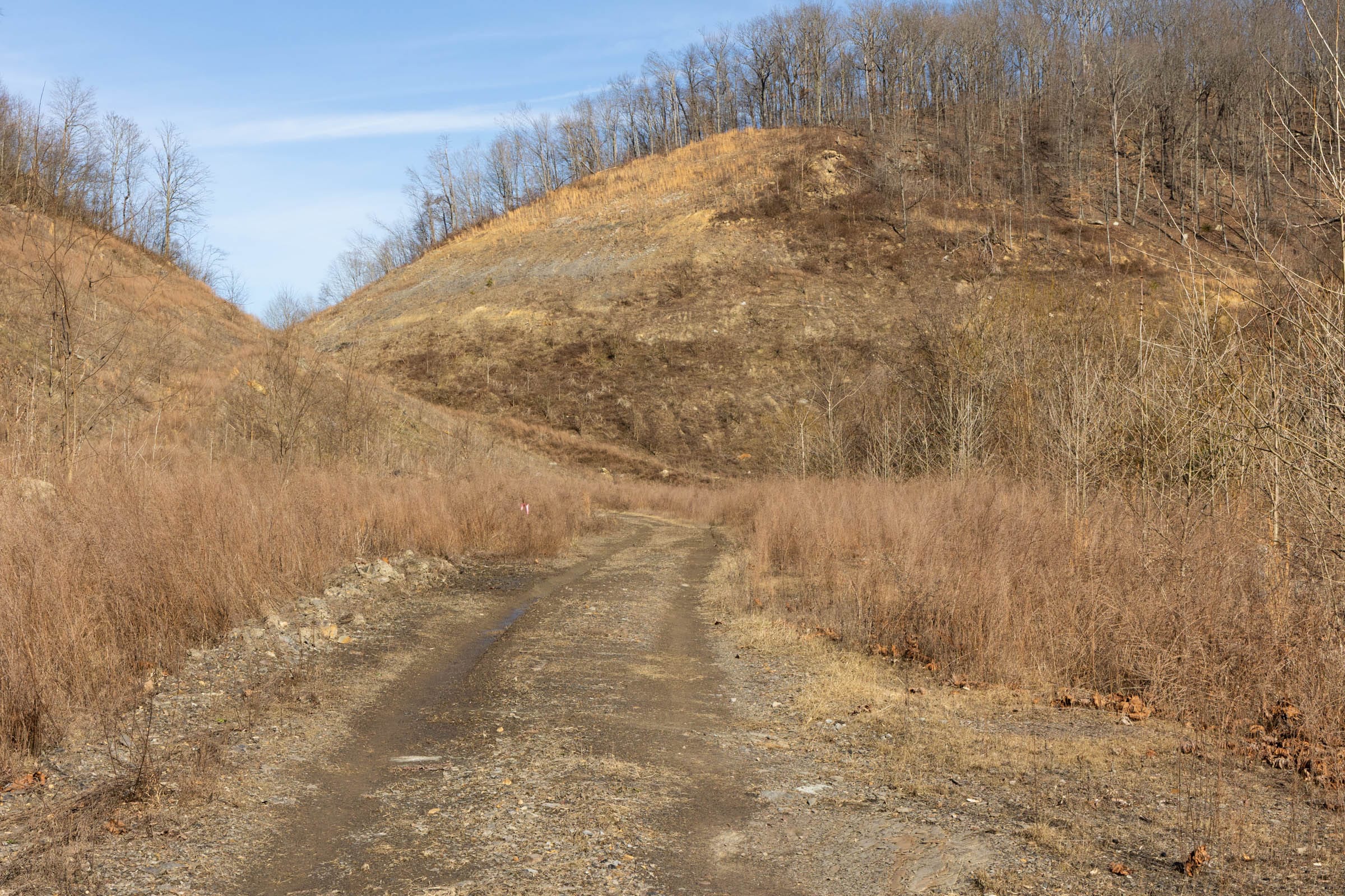 Jade Pass Tract 8 photo 3