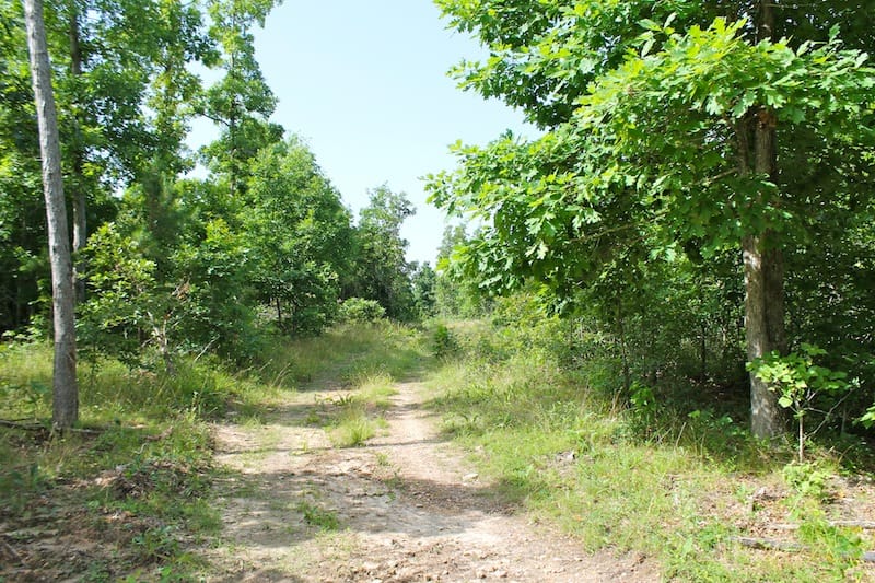 Green Mountain Ranch Tract 15 photo 1
