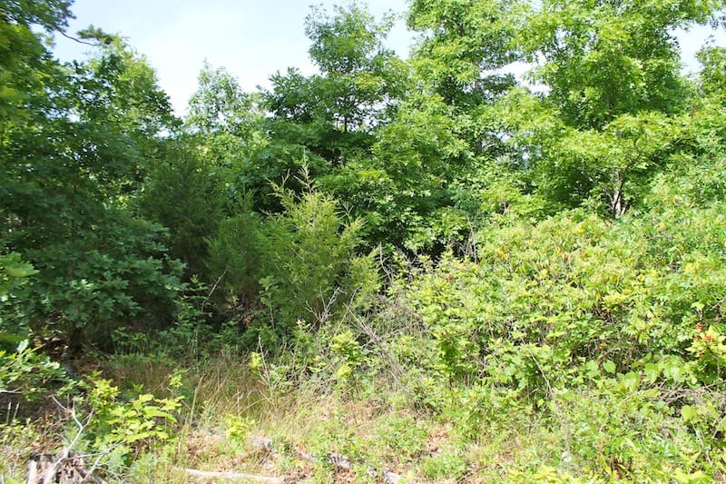 Green Mountain Ranch Tract 15 photo 2