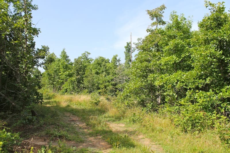 Green Mountain Ranch Tract 15 photo 3