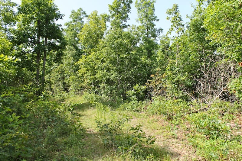 Green Mountain Ranch Tract 15 photo 6