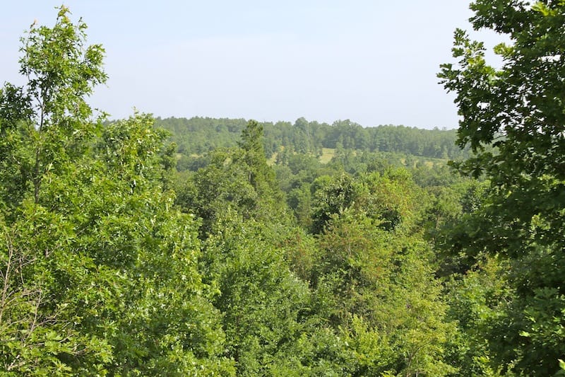 Green Mountain Ranch Tract 15 photo 10