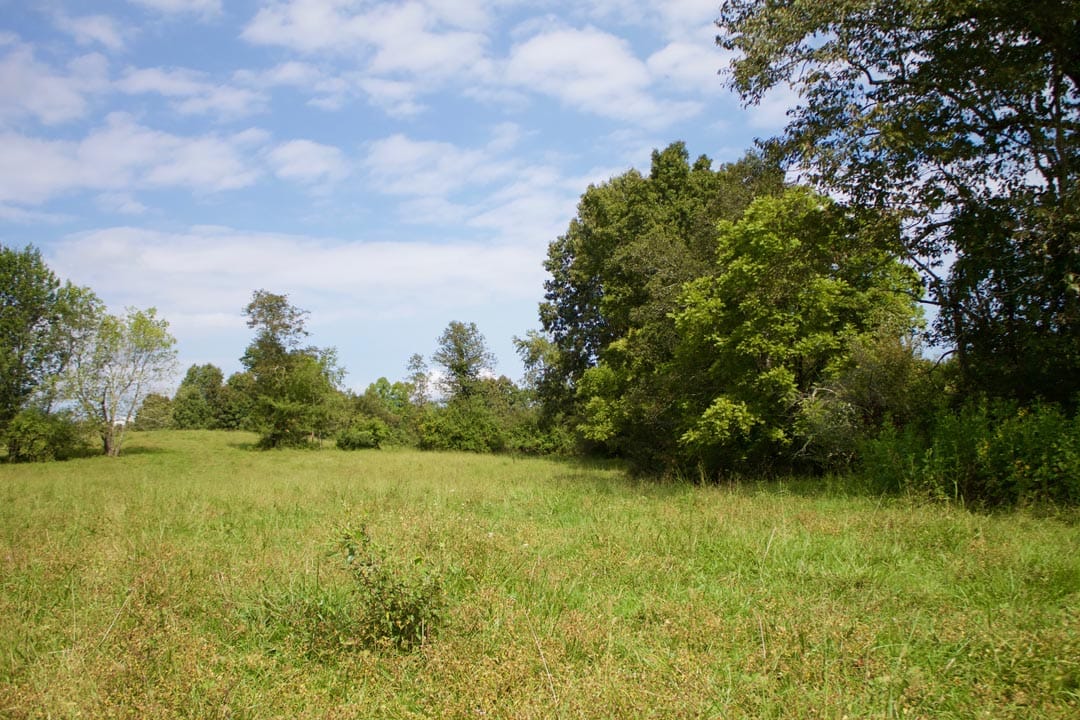 Heritage Hollow Tract 33 photo 2