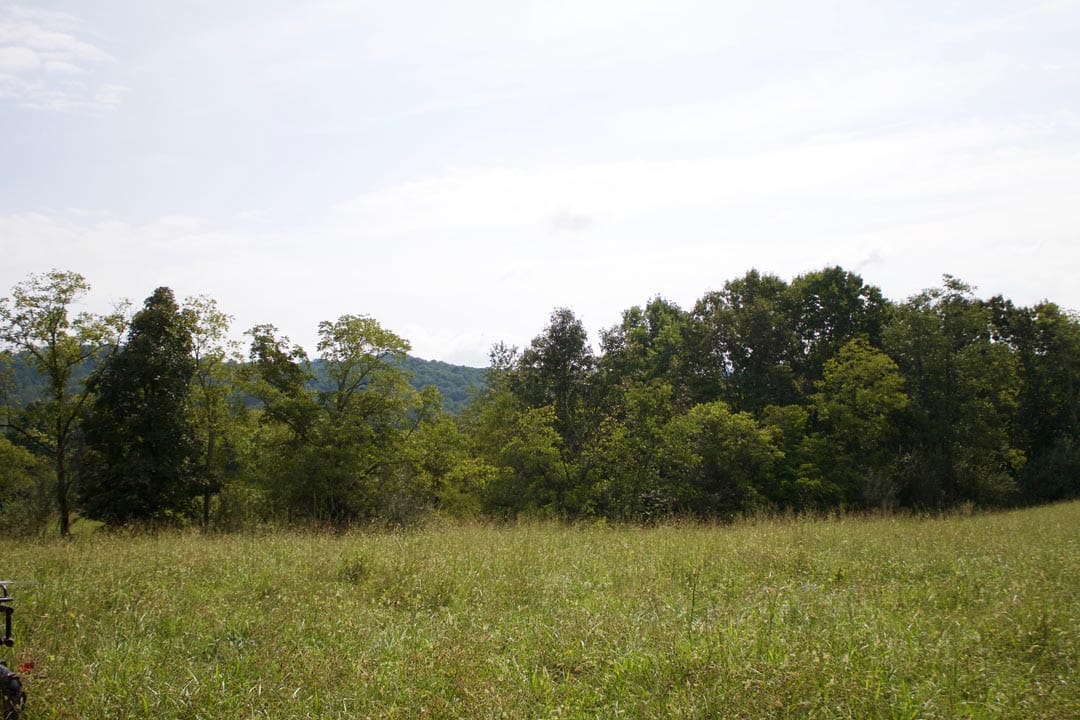Heritage Hollow Tract 33 photo 3