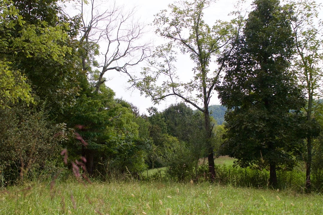 Heritage Hollow Tract 33 photo 4