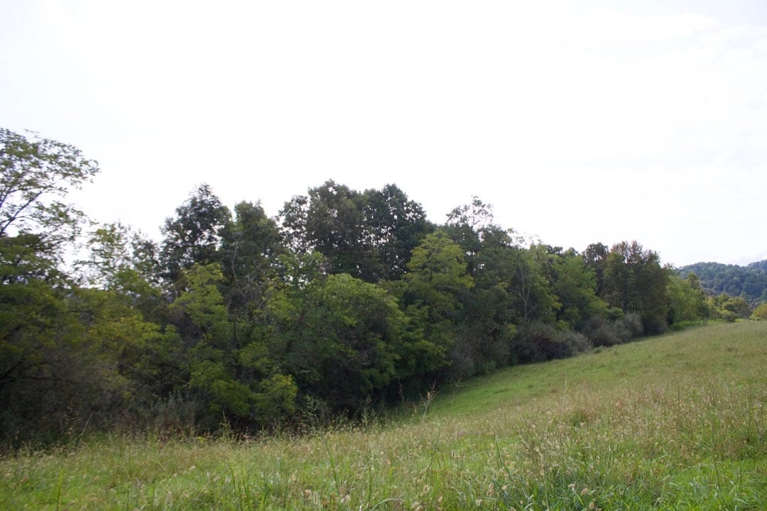 Heritage Hollow Tract 33 photo 5