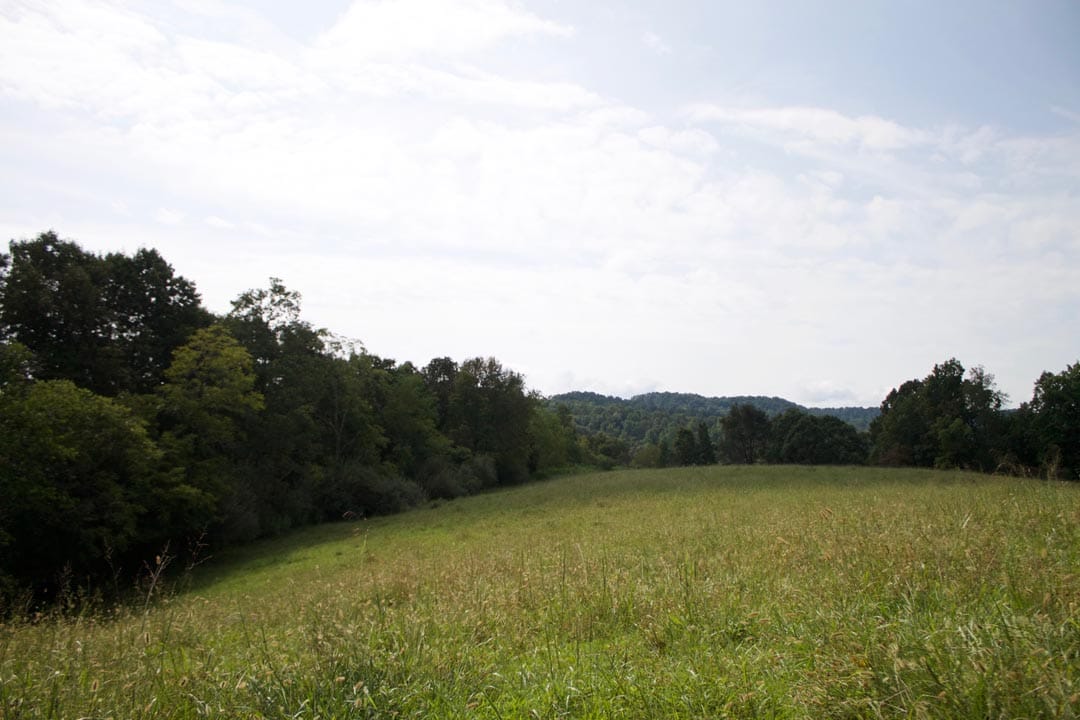 Heritage Hollow Tract 33 photo 6