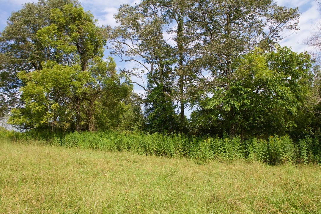 Heritage Hollow Tract 33 photo 7