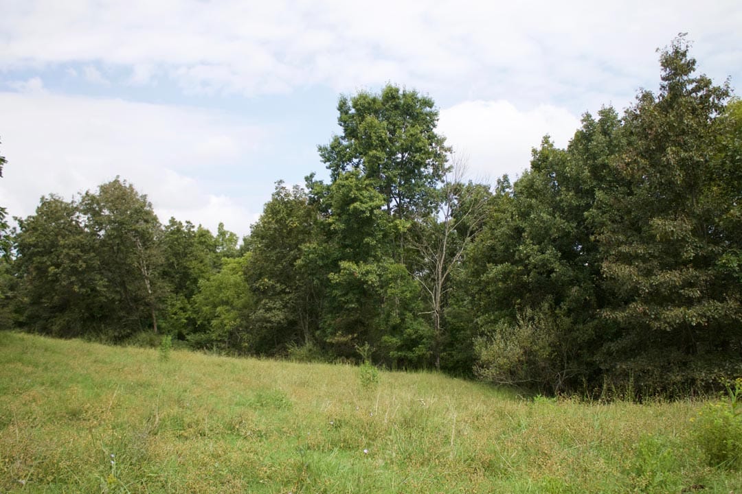 Heritage Hollow Tract 33 photo 9