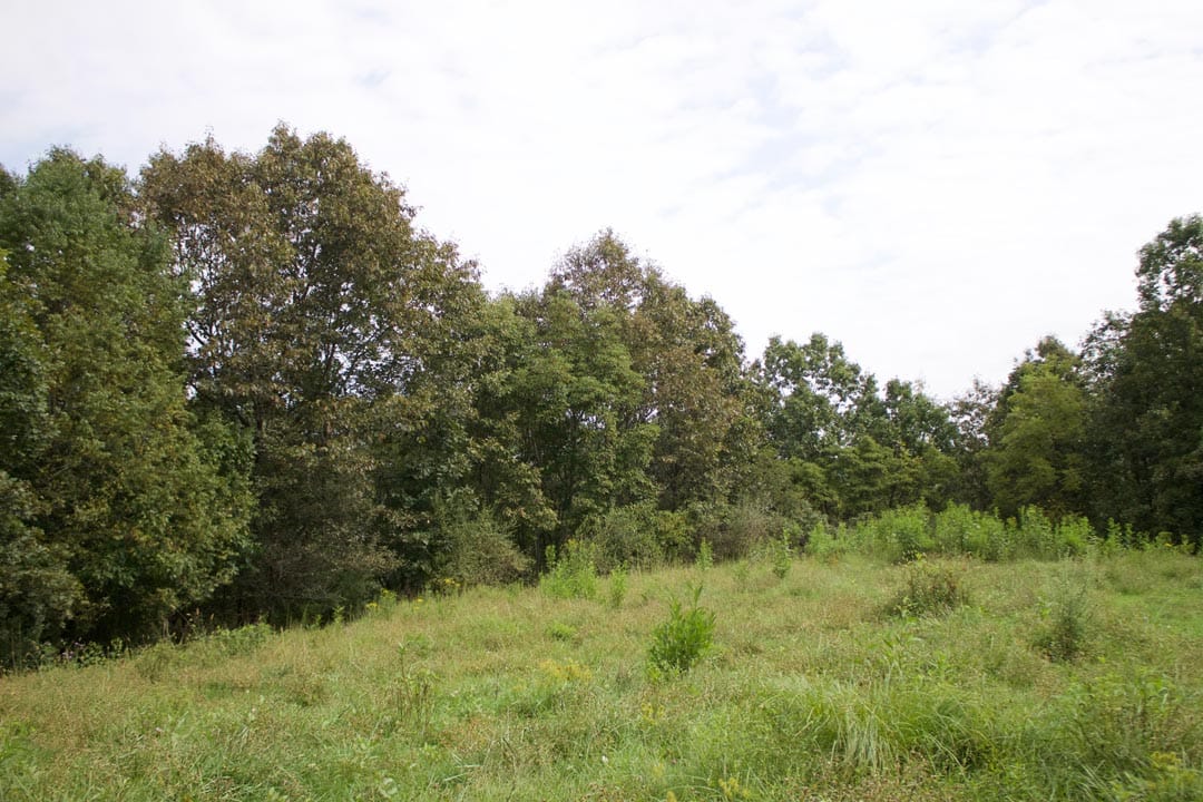 Heritage Hollow Tract 33 photo 10