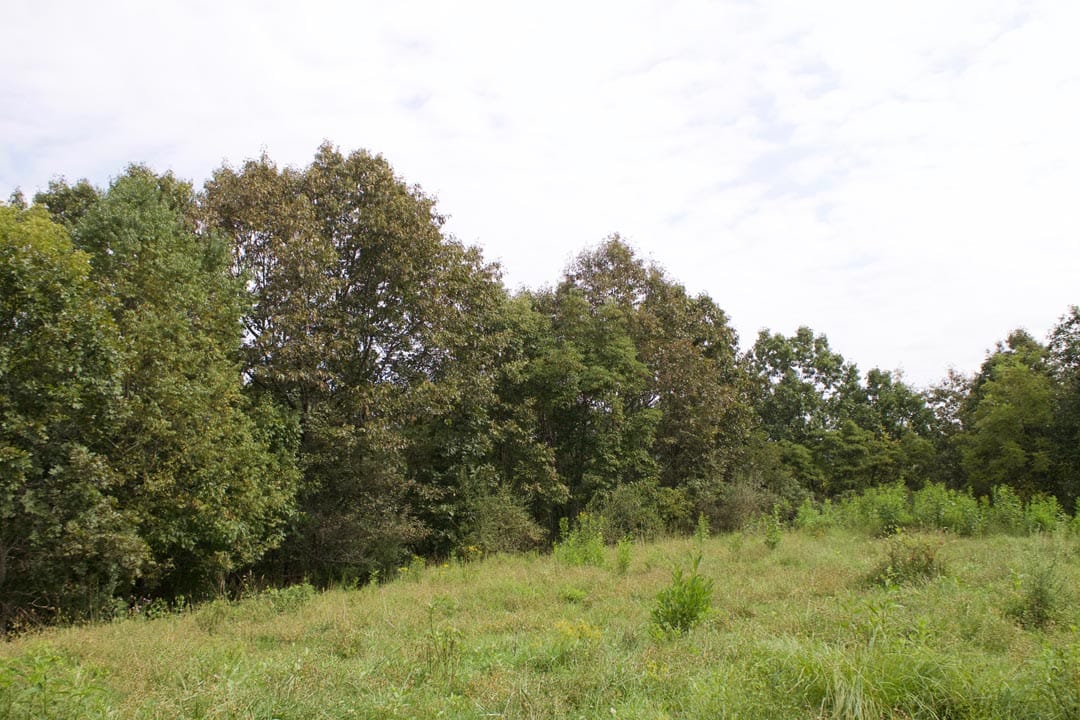 Heritage Hollow Tract 33 photo 11