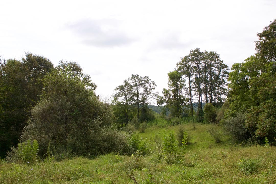 Heritage Hollow Tract 33 photo 12