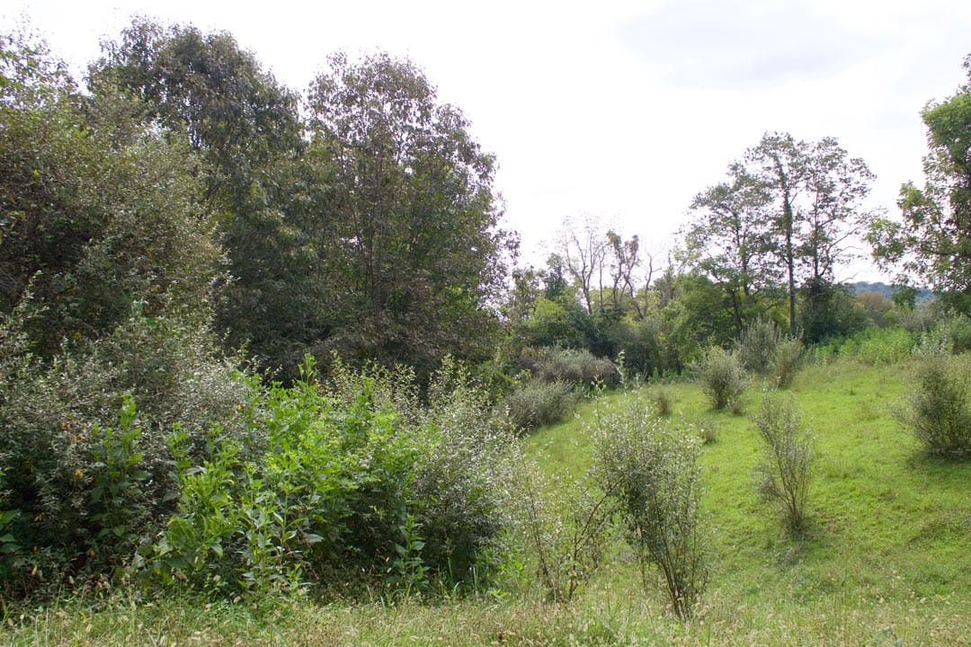 Heritage Hollow Tract 33 photo 13