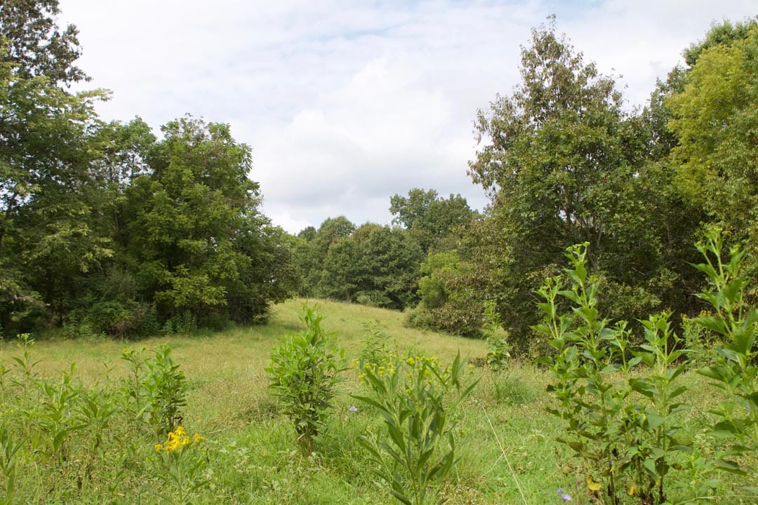Heritage Hollow Tract 33 photo 16