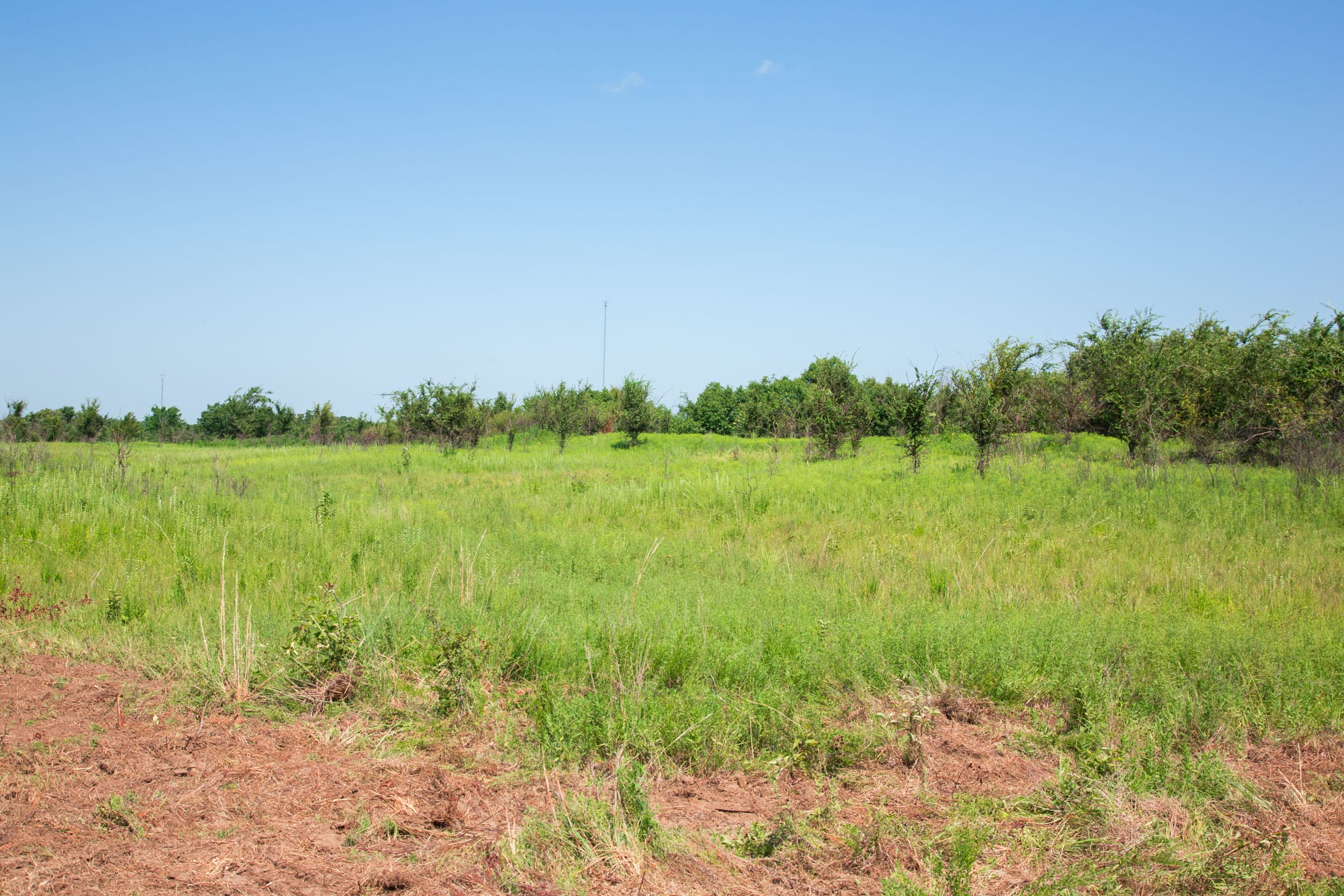 Deep Fork Ranch Tract 19 photo 3
