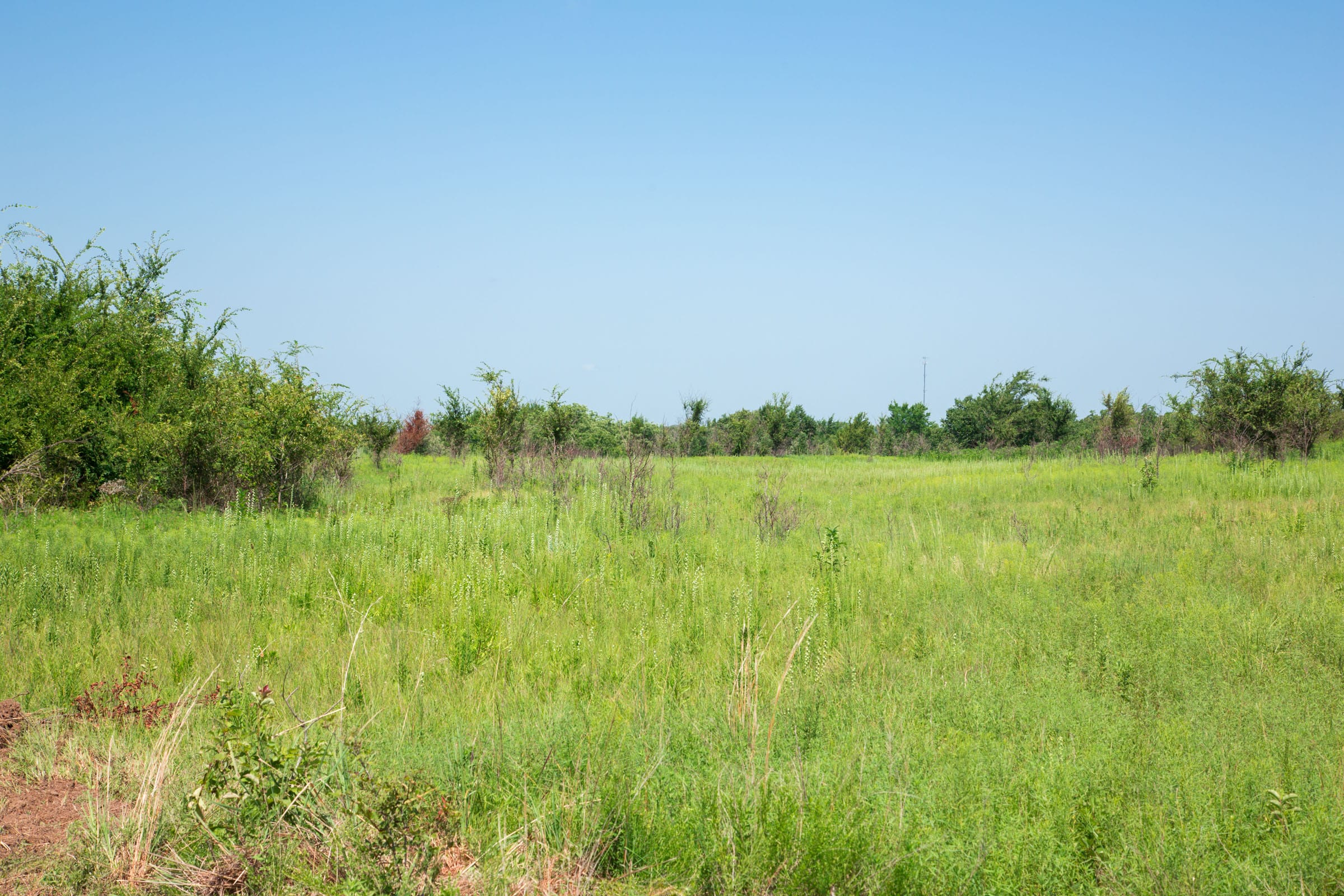 Deep Fork Ranch Tract 19 photo 4