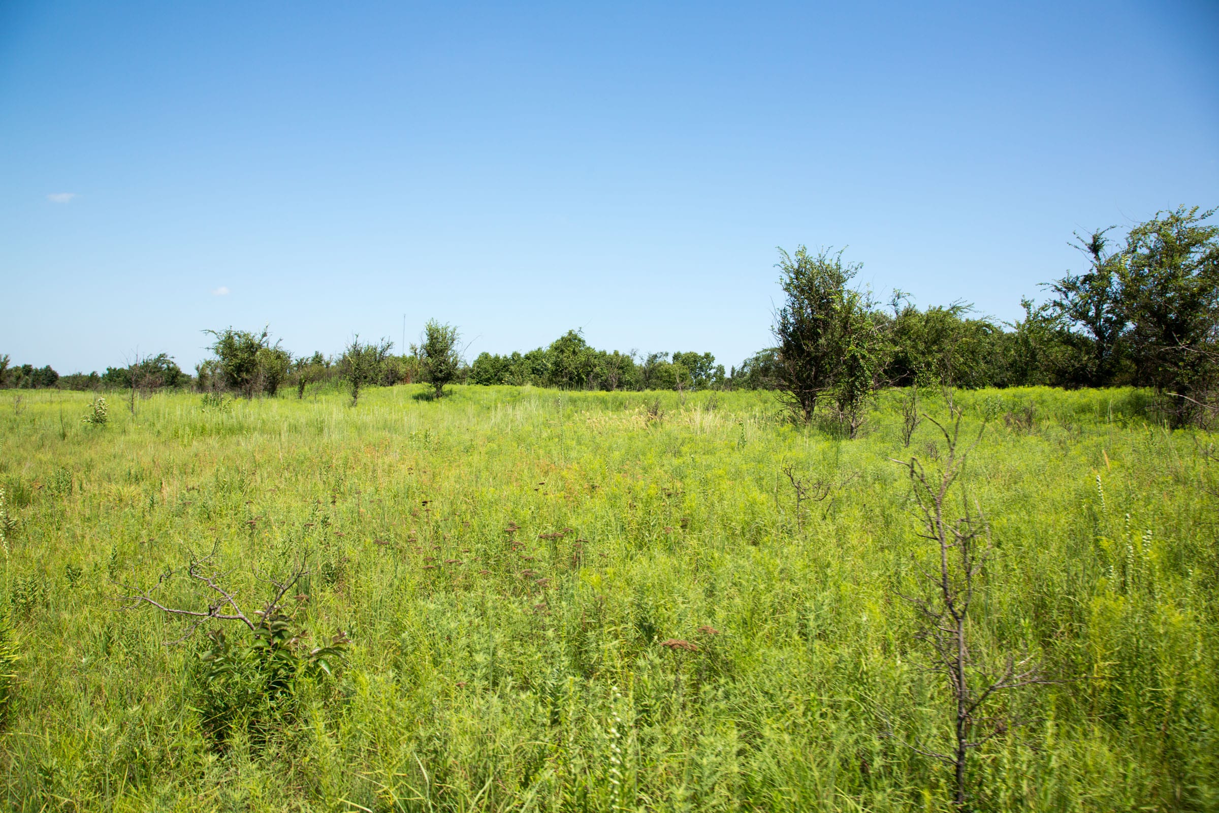 Deep Fork Ranch Tract 19 photo 5