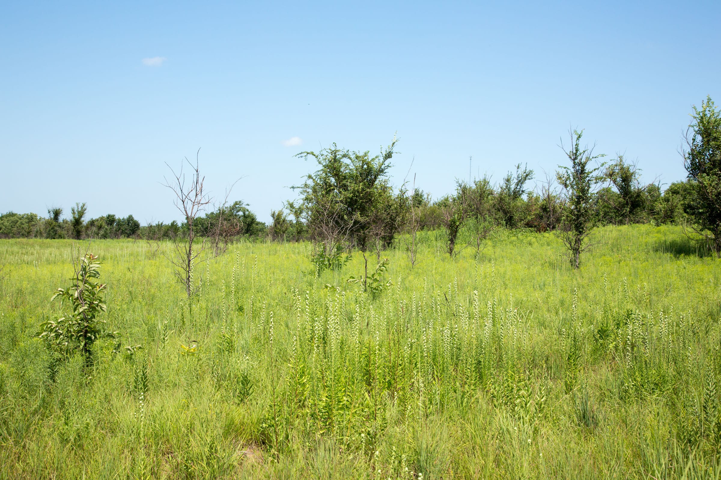 Deep Fork Ranch Tract 19 photo 6
