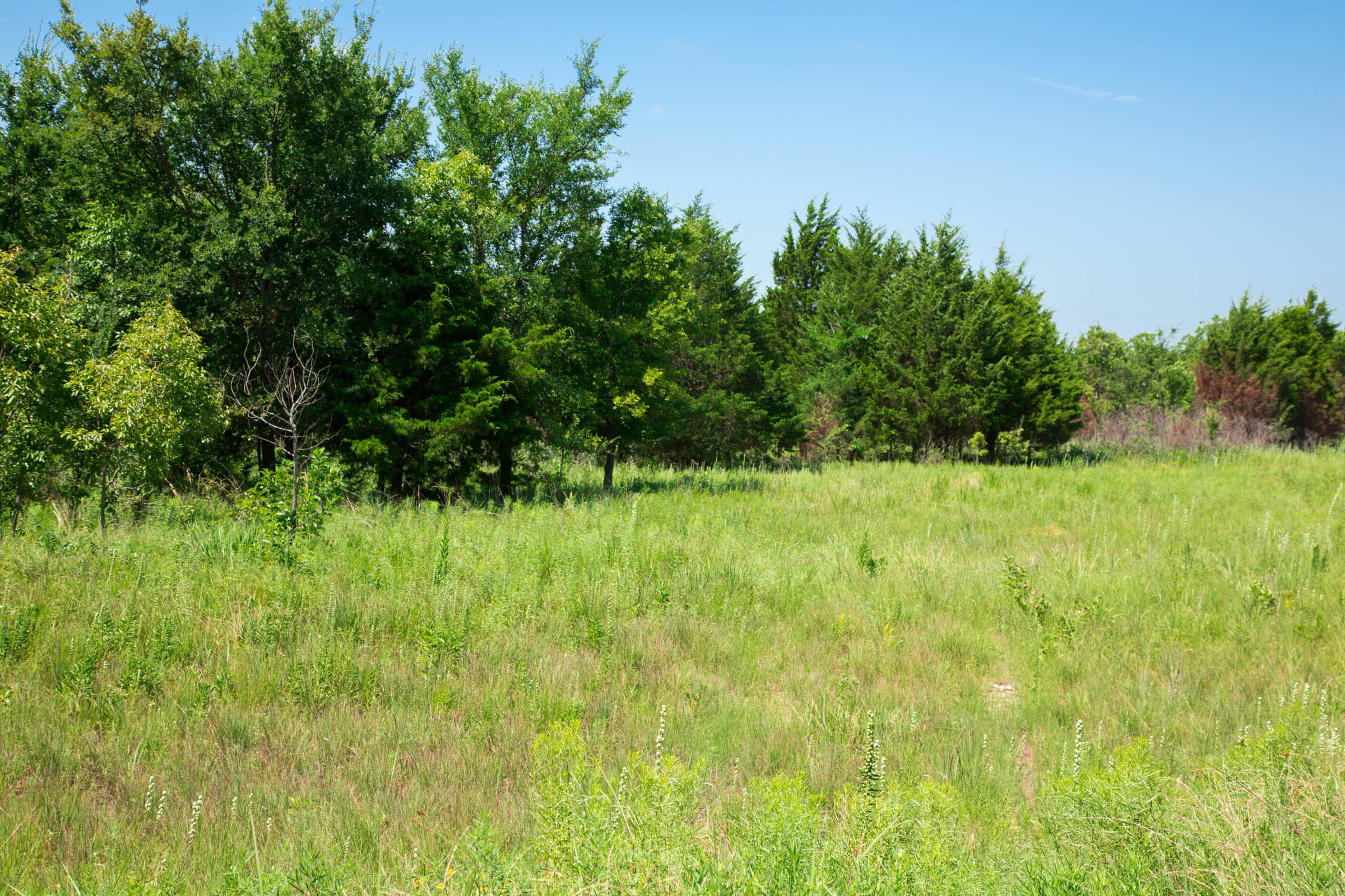 Deep Fork Ranch Tract 19 photo 8