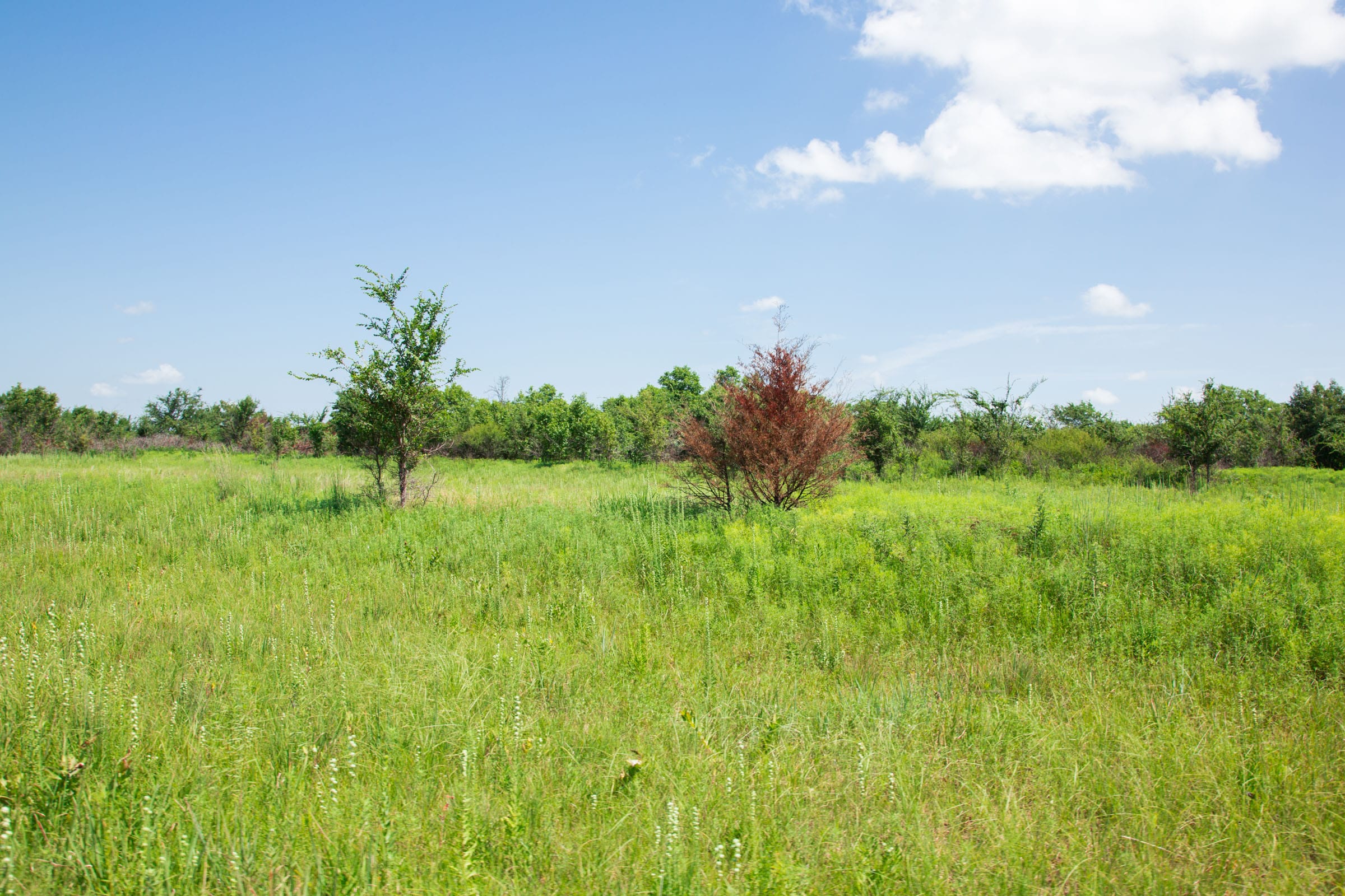 Deep Fork Ranch Tract 19 photo 9