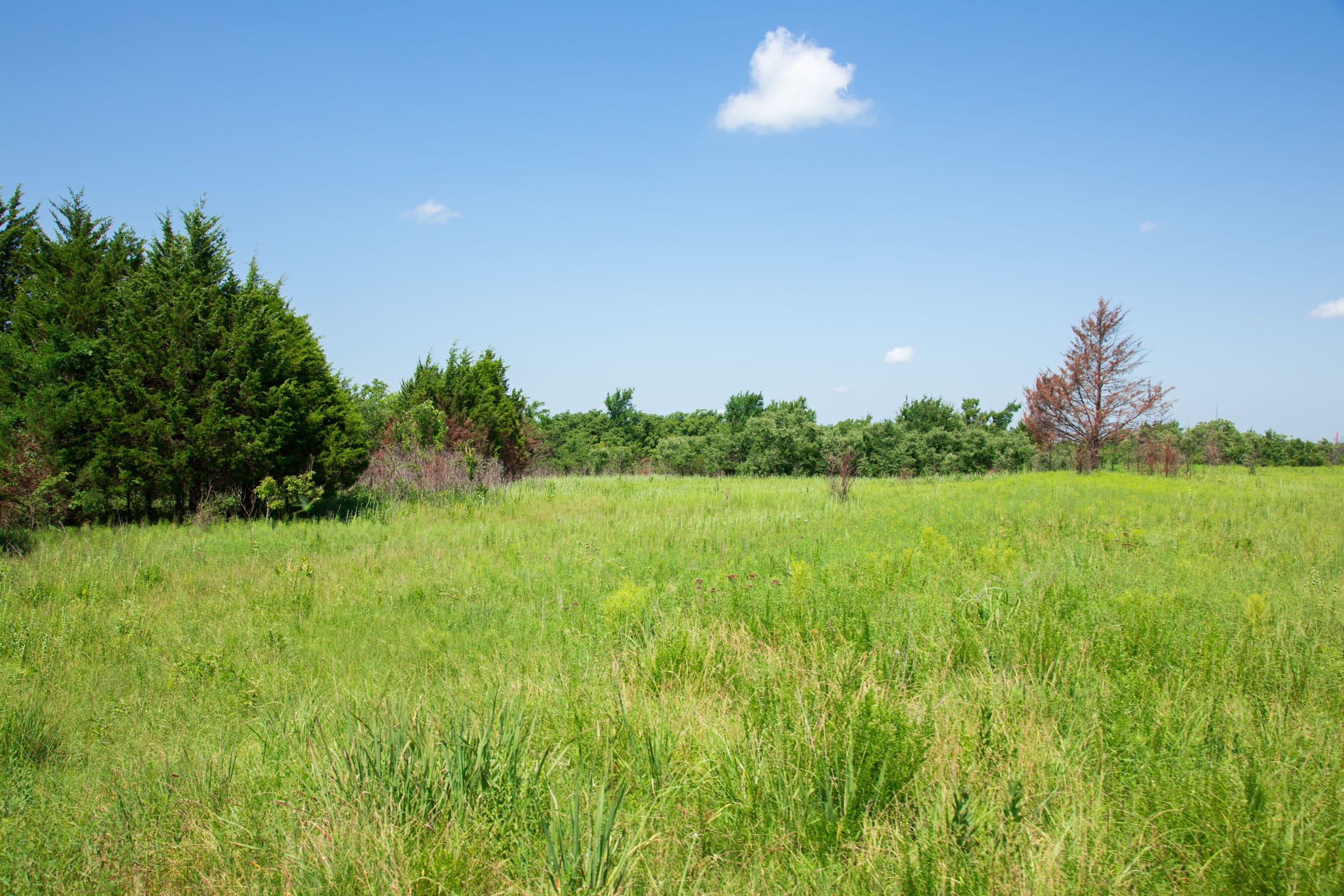 Deep Fork Ranch Tract 19 photo 10