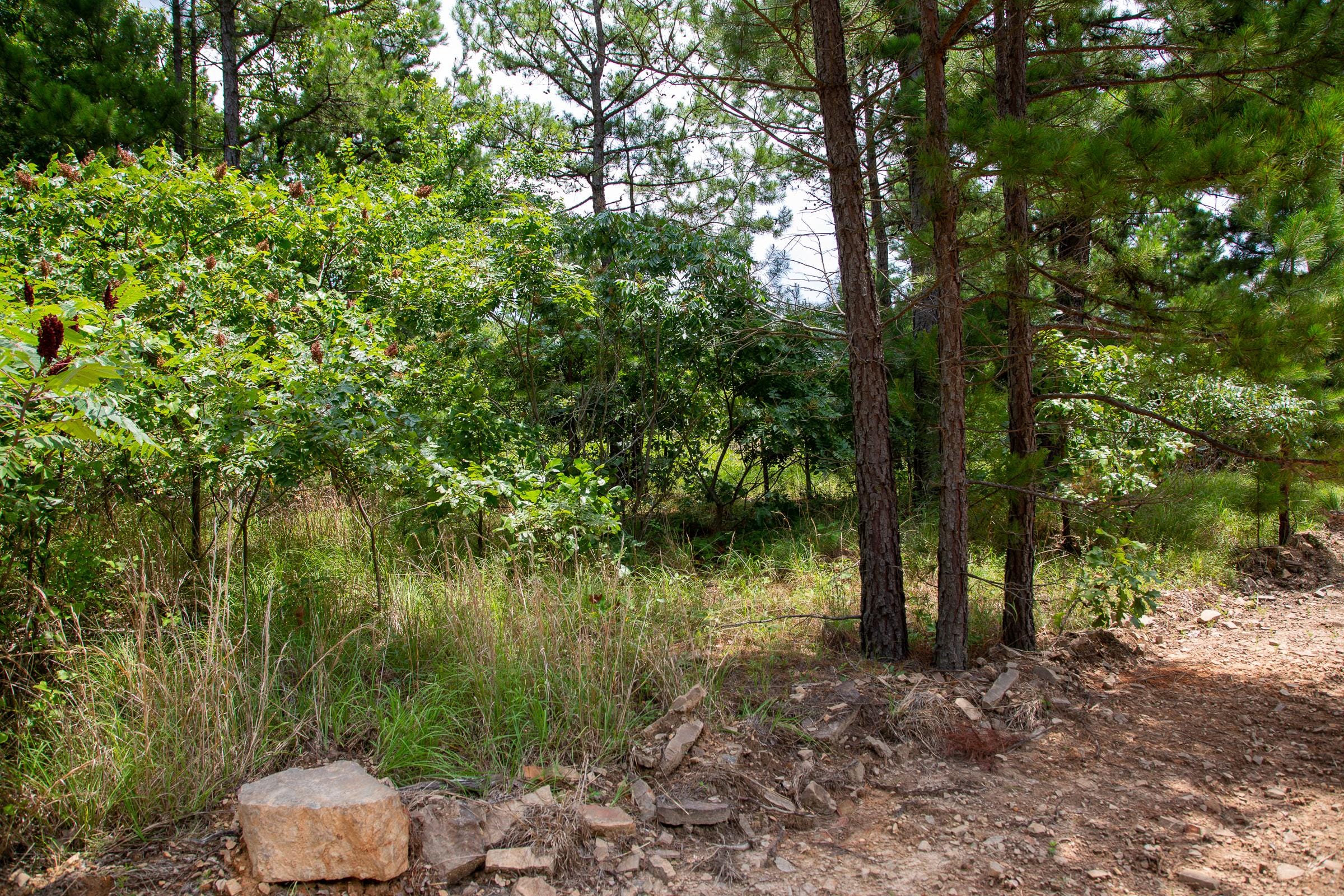 Tyler Stone Ranch Tract 22 photo 3