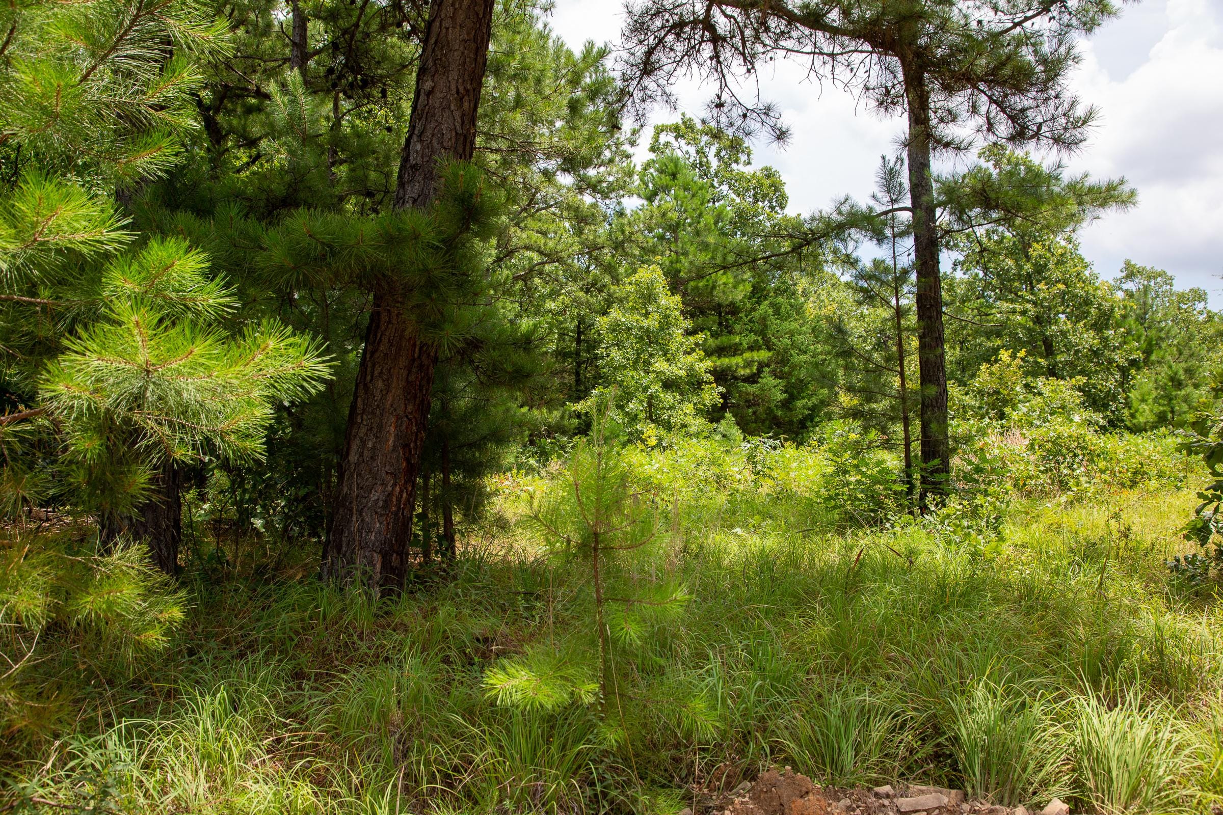 Tyler Stone Ranch Tract 22 photo 1