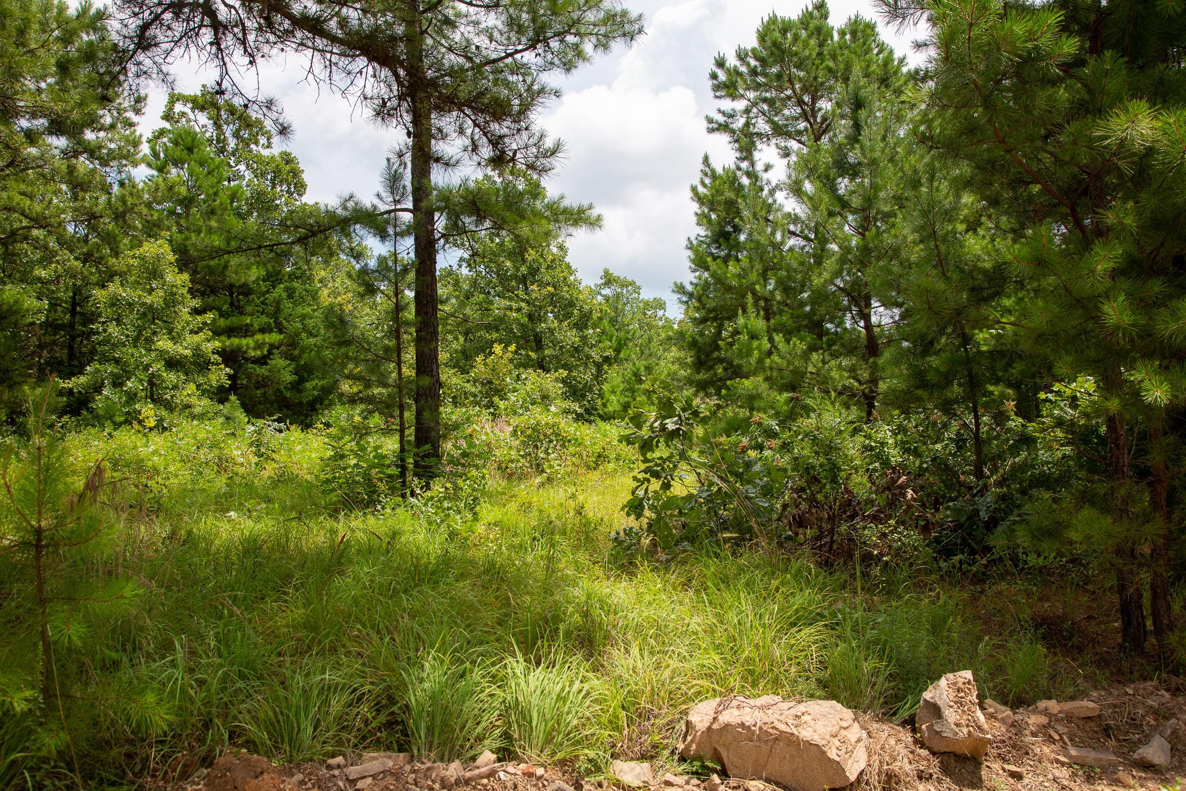 Tyler Stone Ranch Tract 22 photo 6