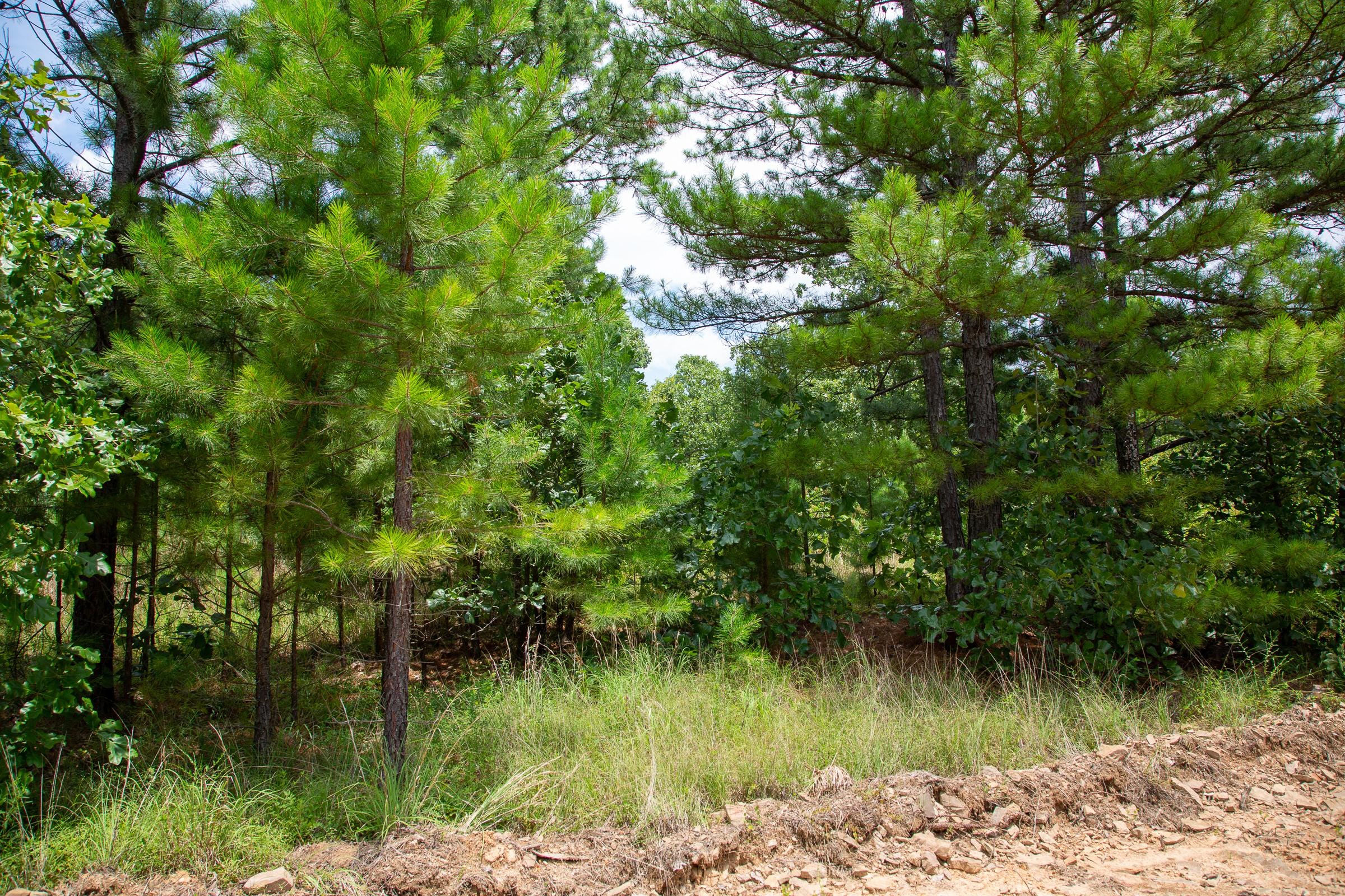 Tyler Stone Ranch Tract 22 photo 4