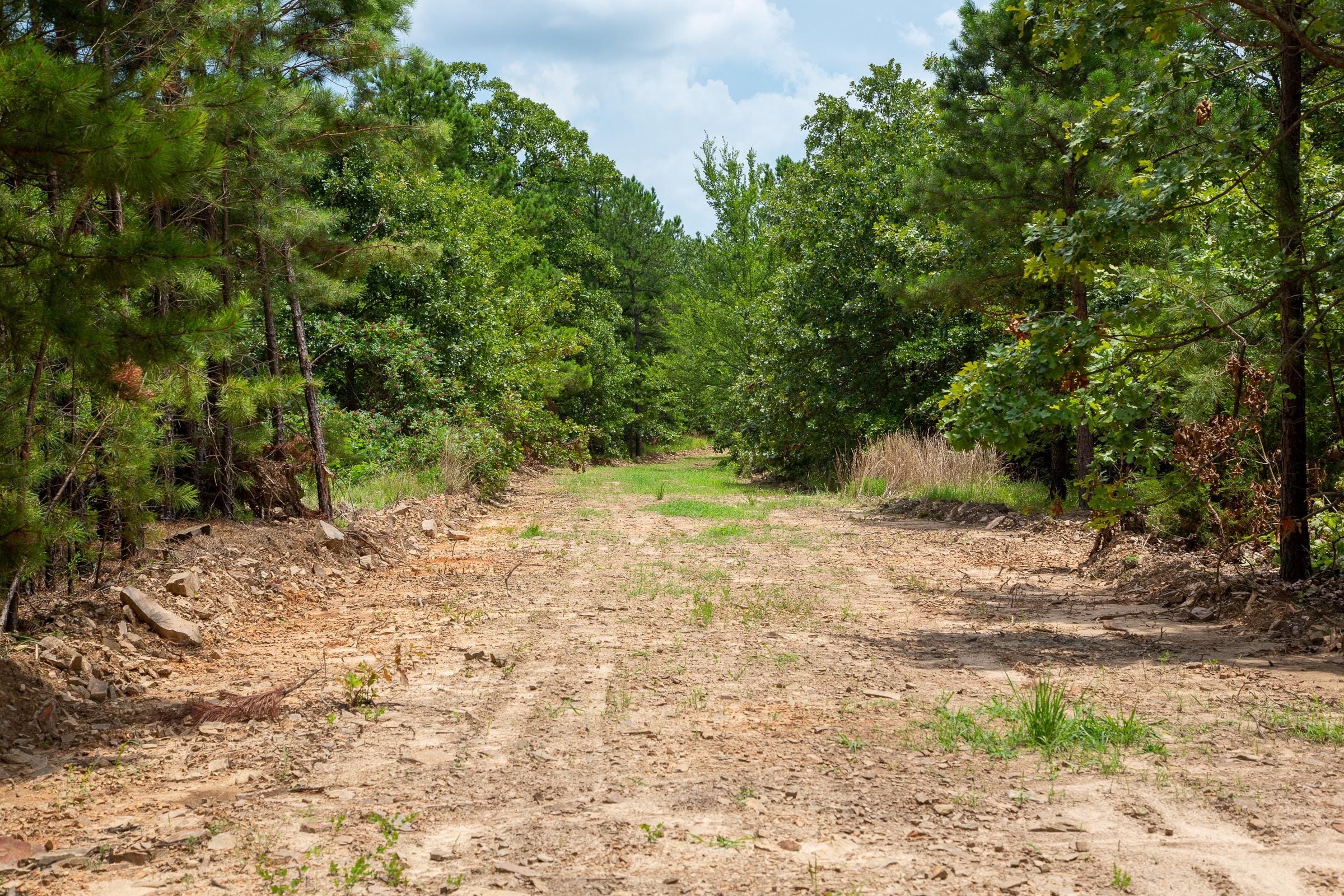 Tyler Stone Ranch Tract 22 photo 8