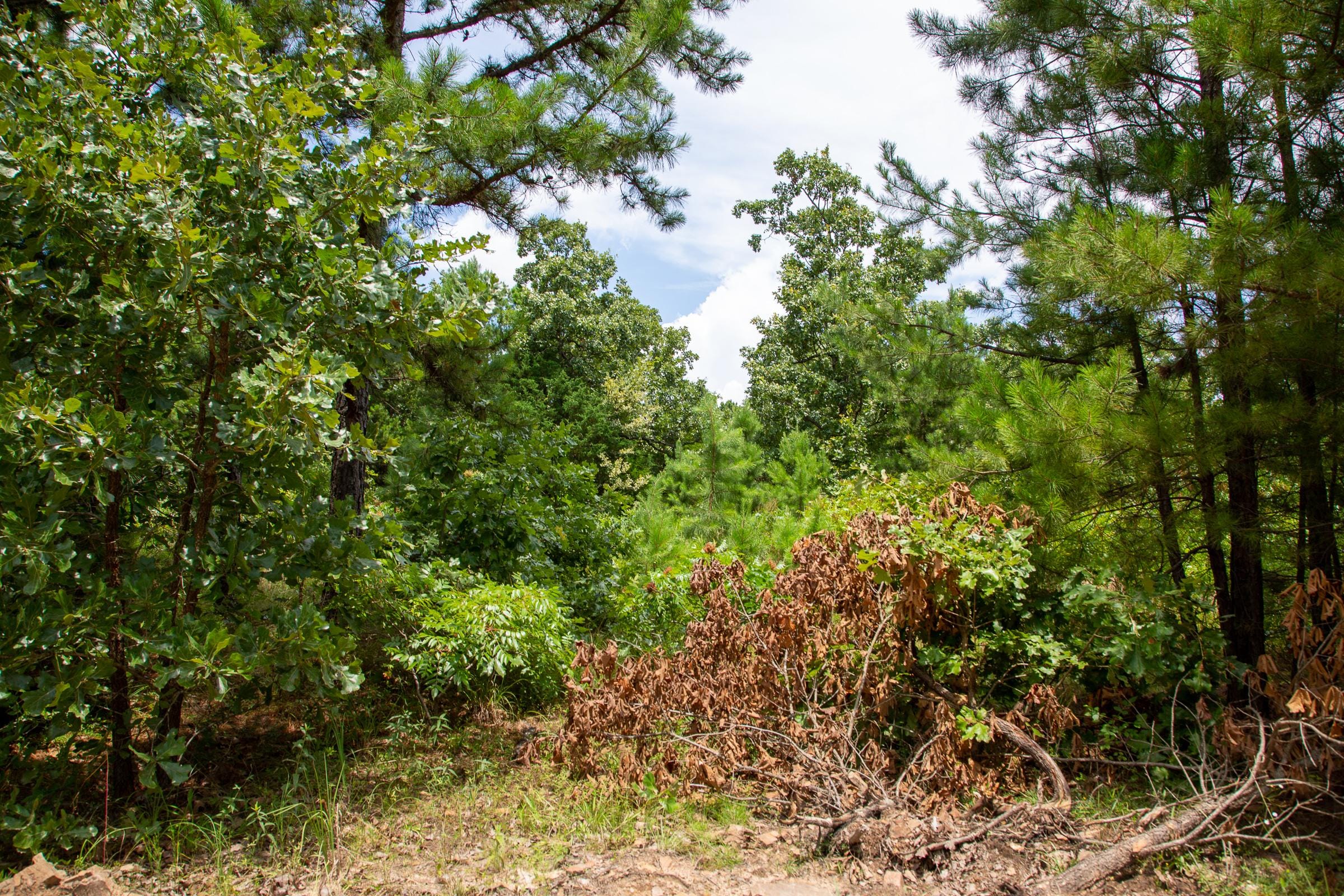 Tyler Stone Ranch Tract 22 photo 7