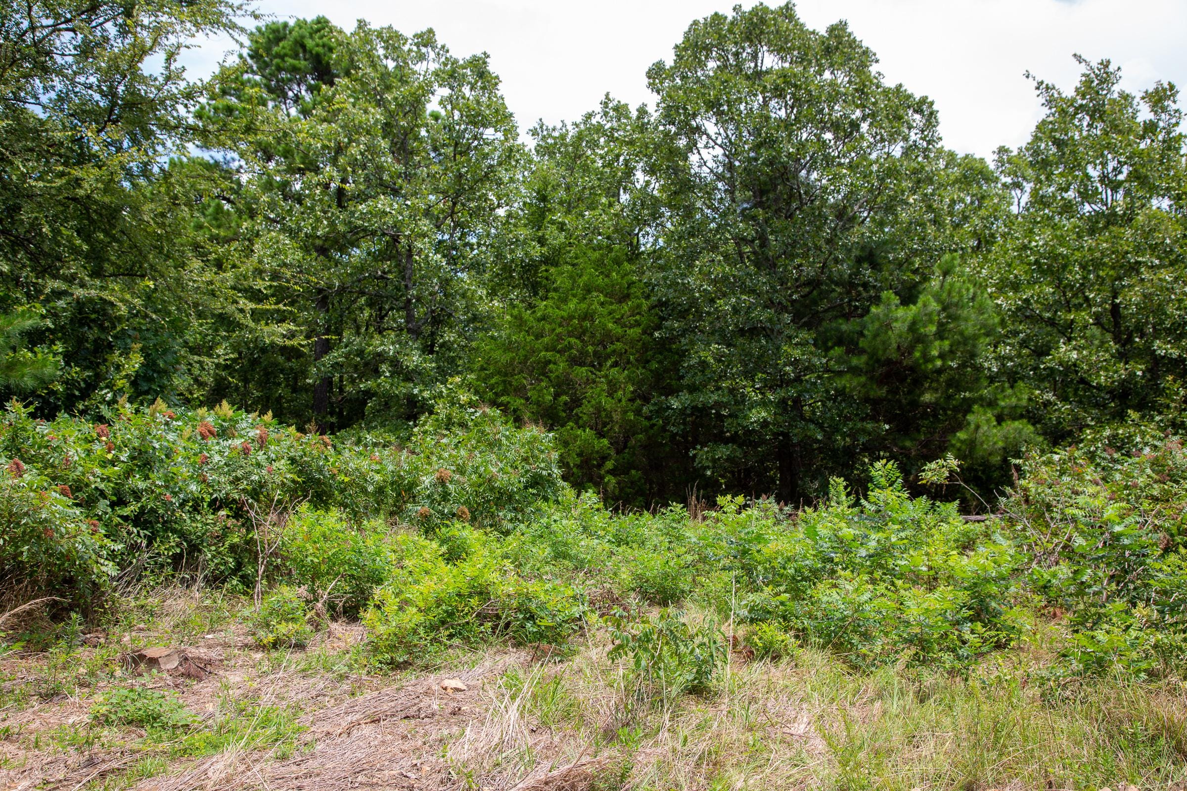 Tyler Stone Ranch Tract 22 photo 9