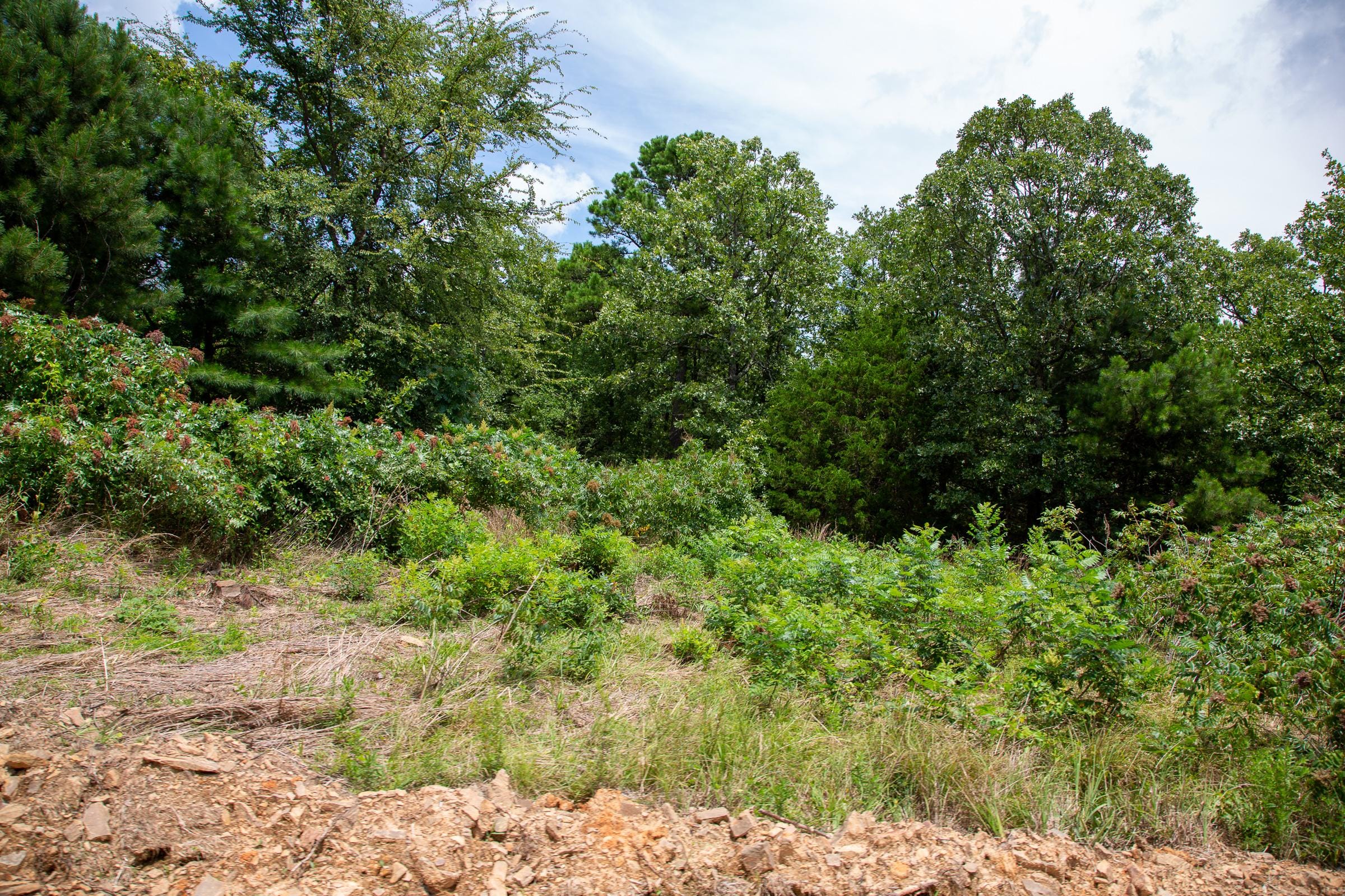 Tyler Stone Ranch Tract 22 photo 12
