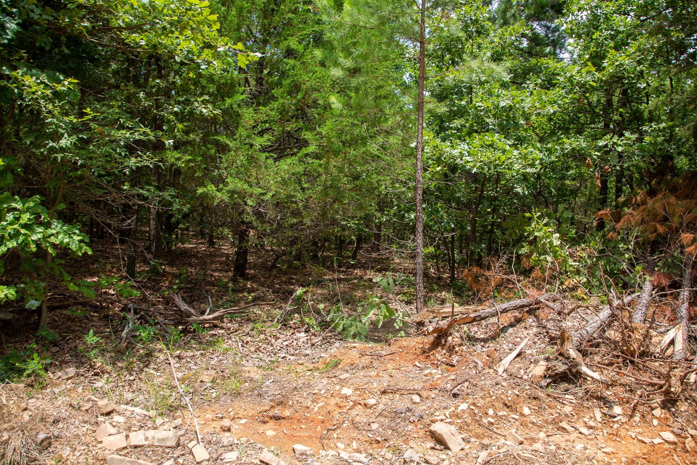 Tyler Stone Ranch Tract 22 photo 11
